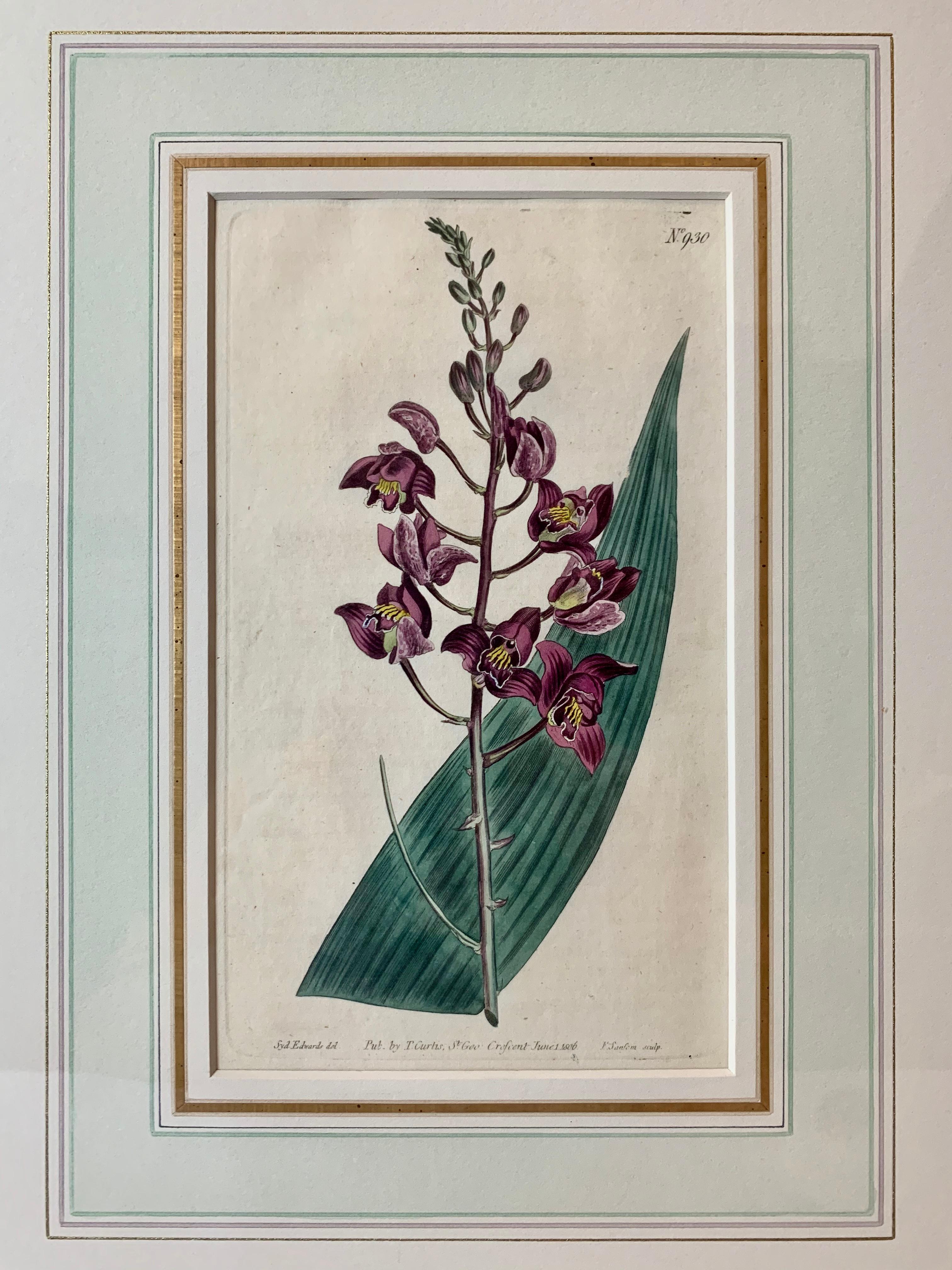 Late 18th Century Orchid Engravings Hand Colored by William Curtis, England, 1797-1806-Set of 3