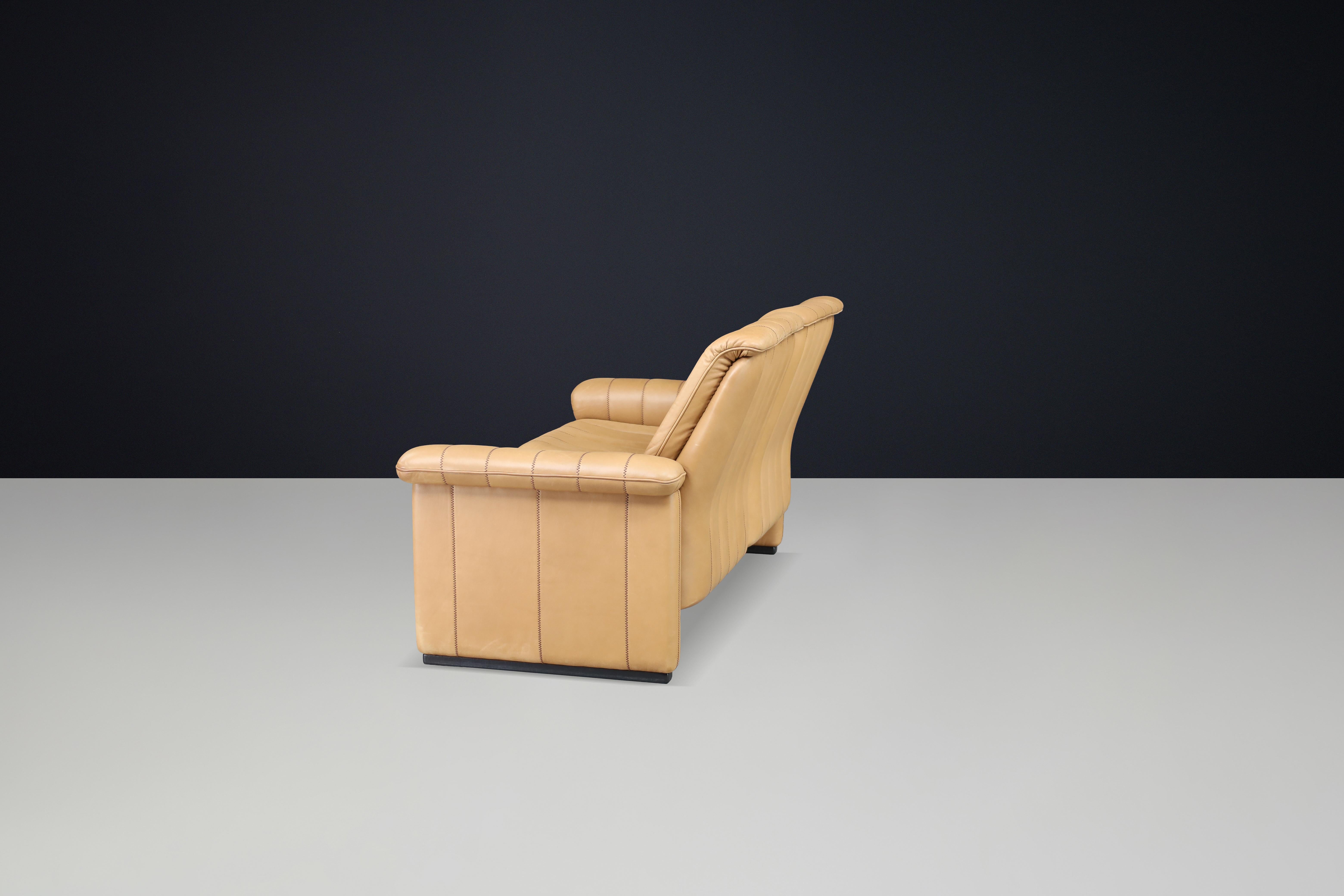 Set of Three De Sede DS-83 Sofas in Tan Leather, Switzerland, 1970s For Sale 6