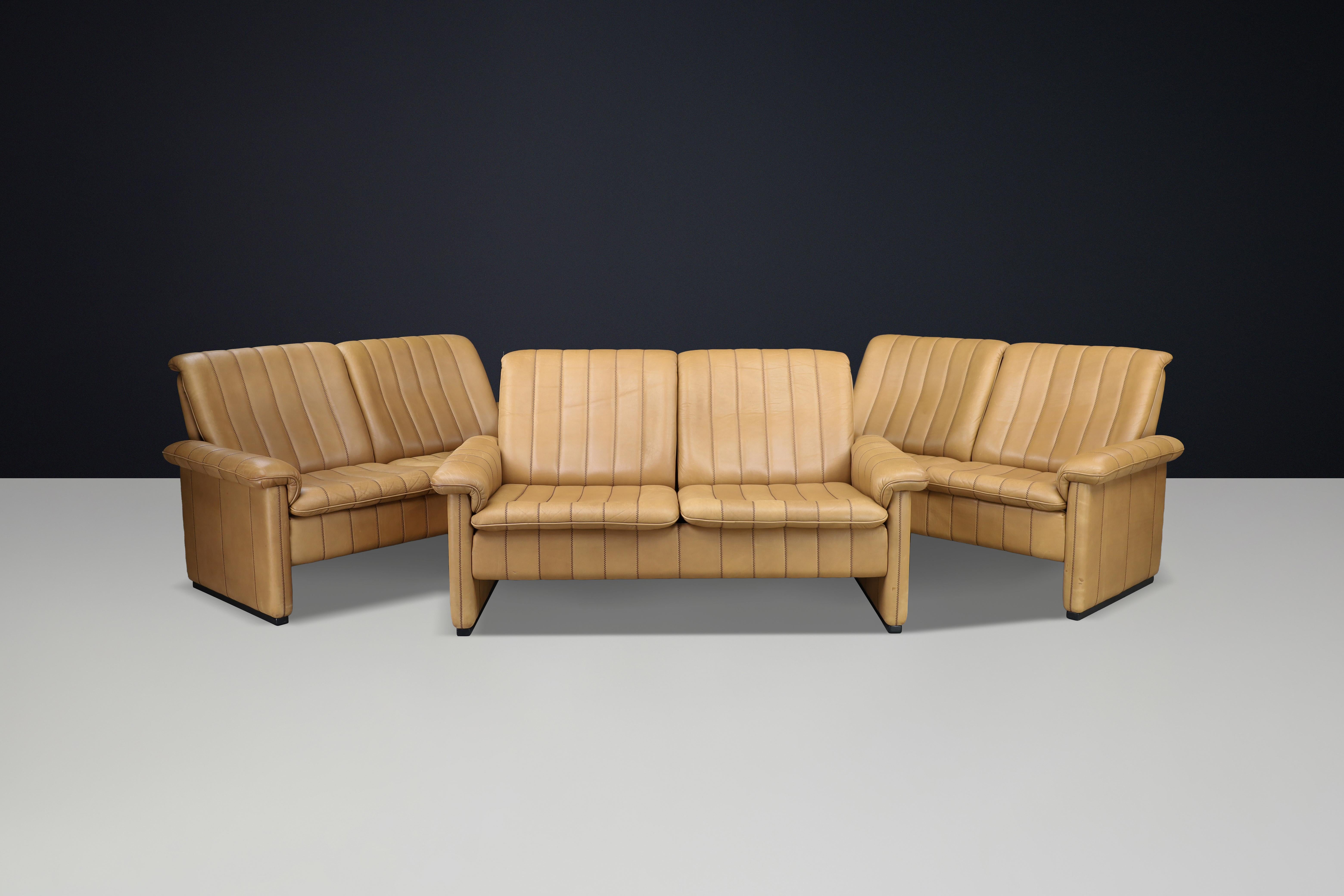 Set of Three De Sede DS-83 Sofas in Tan Leather, Switzerland, 1970s For Sale 1