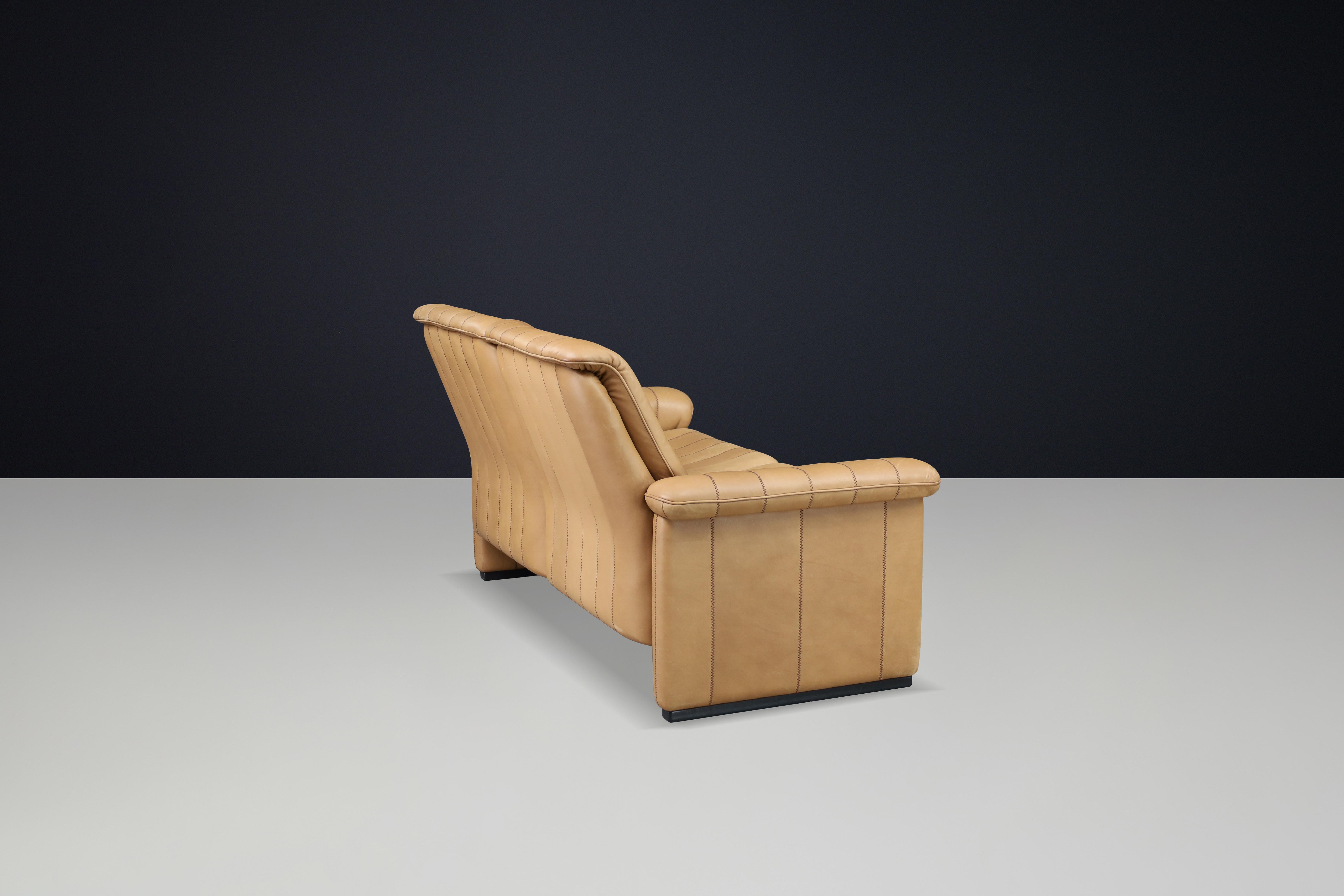 Set of Three De Sede DS-83 Sofas in Tan Leather, Switzerland, 1970s For Sale 4