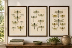 Set of Three Dragonfly & Damselfly Lithographs by Richard Tümpel, 1908