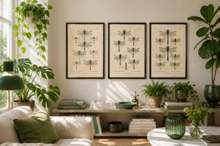 Set of Three Dragonfly & Damselfly Lithographs by Richard Tümpel, 1908, view 6