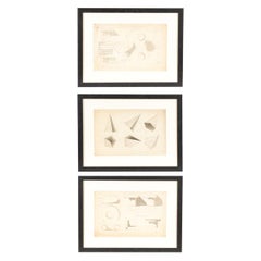 Set of Three Early 20th Century Charcoal Drawings from France