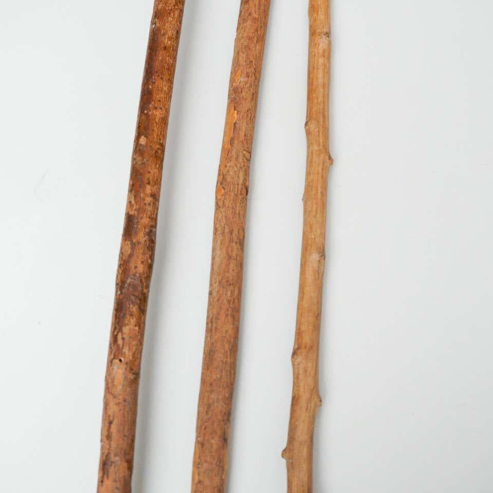 Set of Three Early 20th Century Hand Carved Wood Walking Traditional Sticks For Sale 5