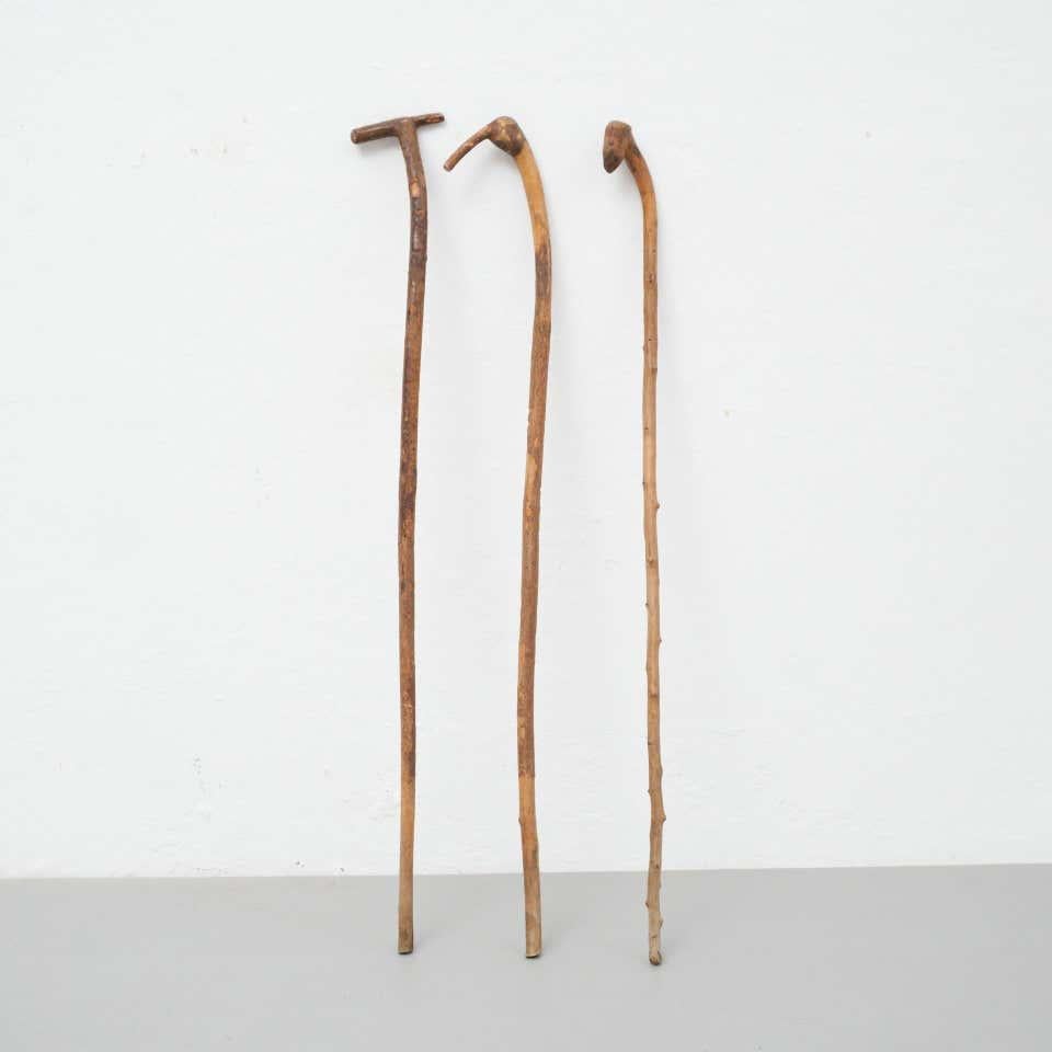 Spanish Set of Three Early 20th Century Hand Carved Wood Walking Traditional Sticks For Sale