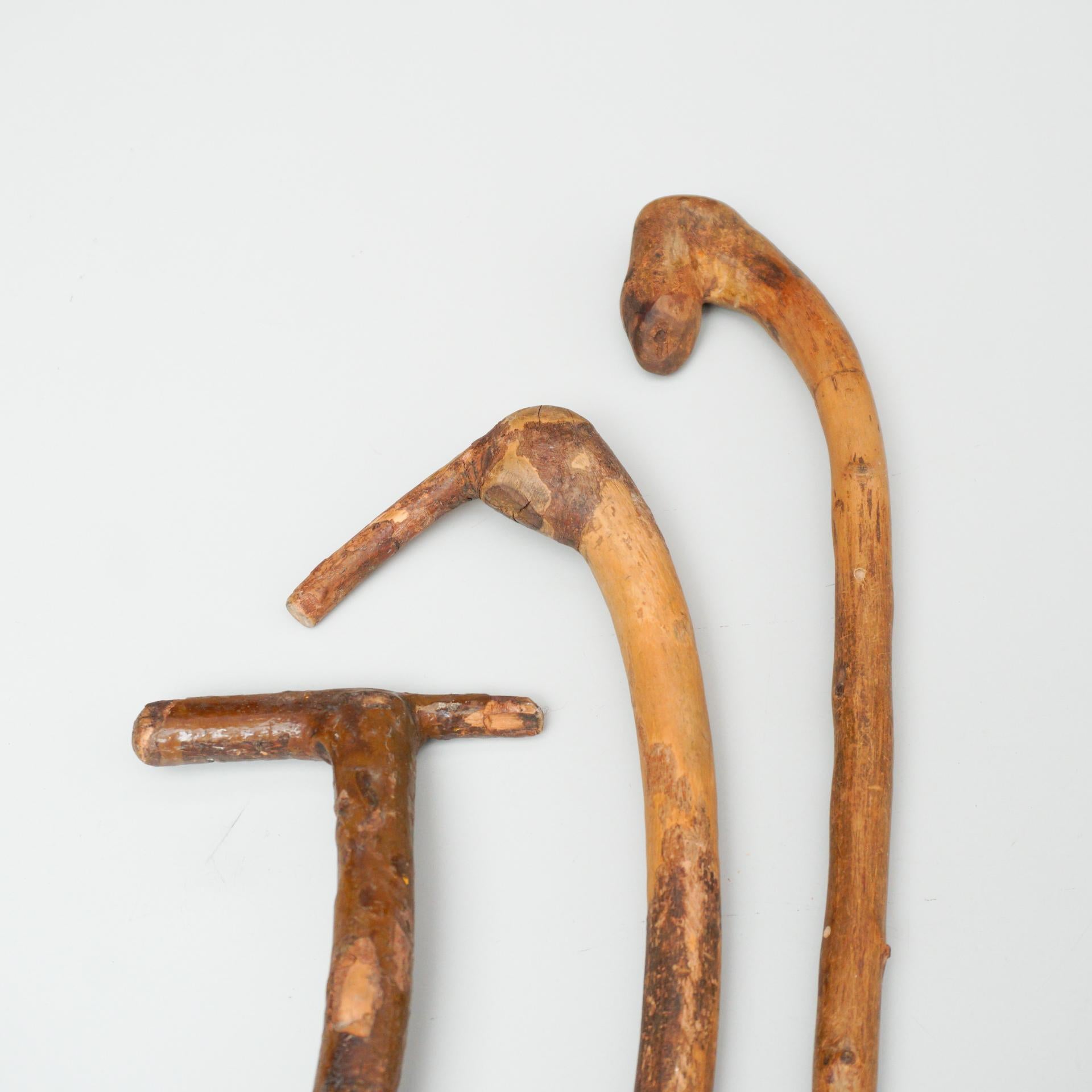 Set of Three Early 20th Century Hand Carved Wood Walking Traditional Sticks In Good Condition In Barcelona, Barcelona