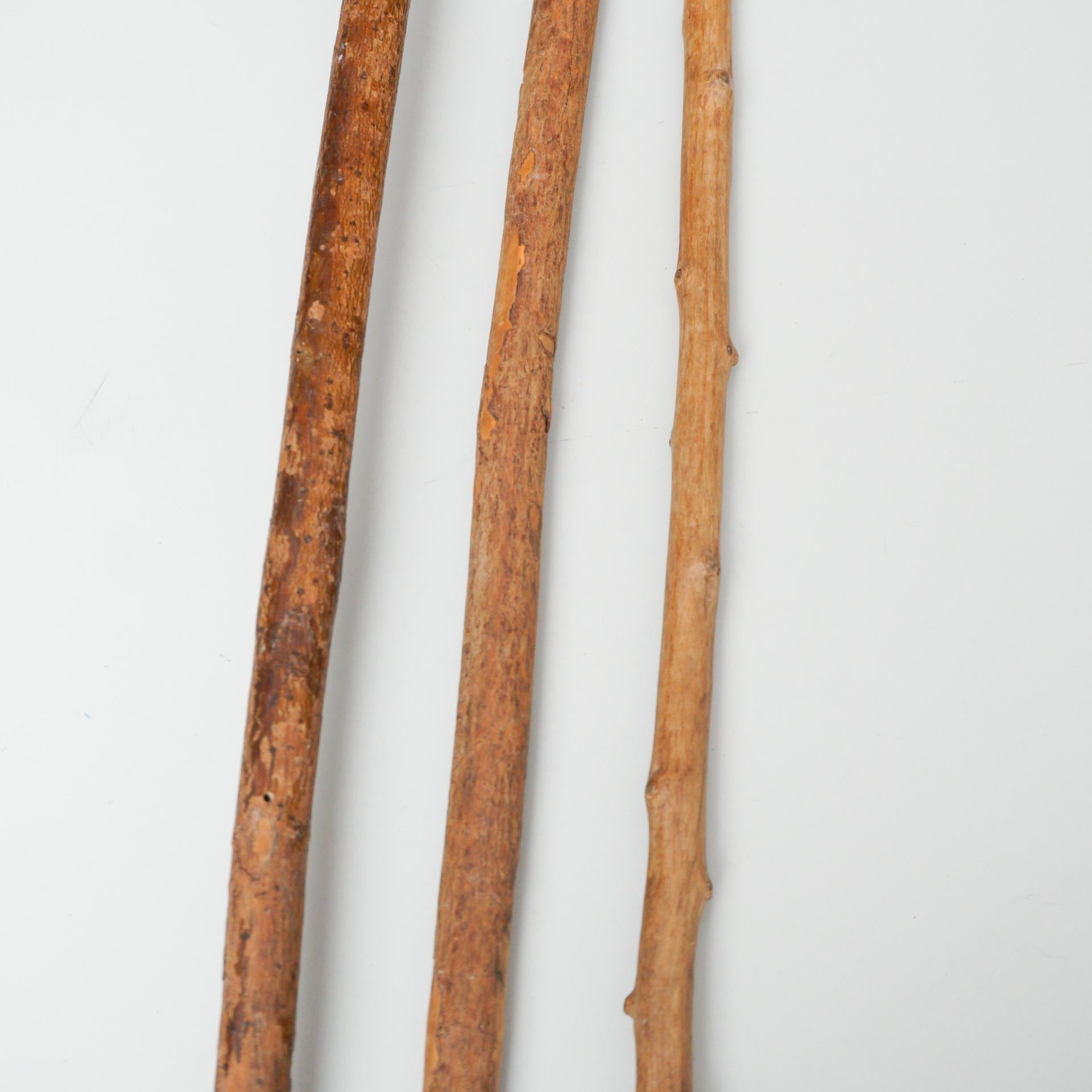 Set of Three Early 20th Century Hand Carved Wood Walking Traditional Sticks 1