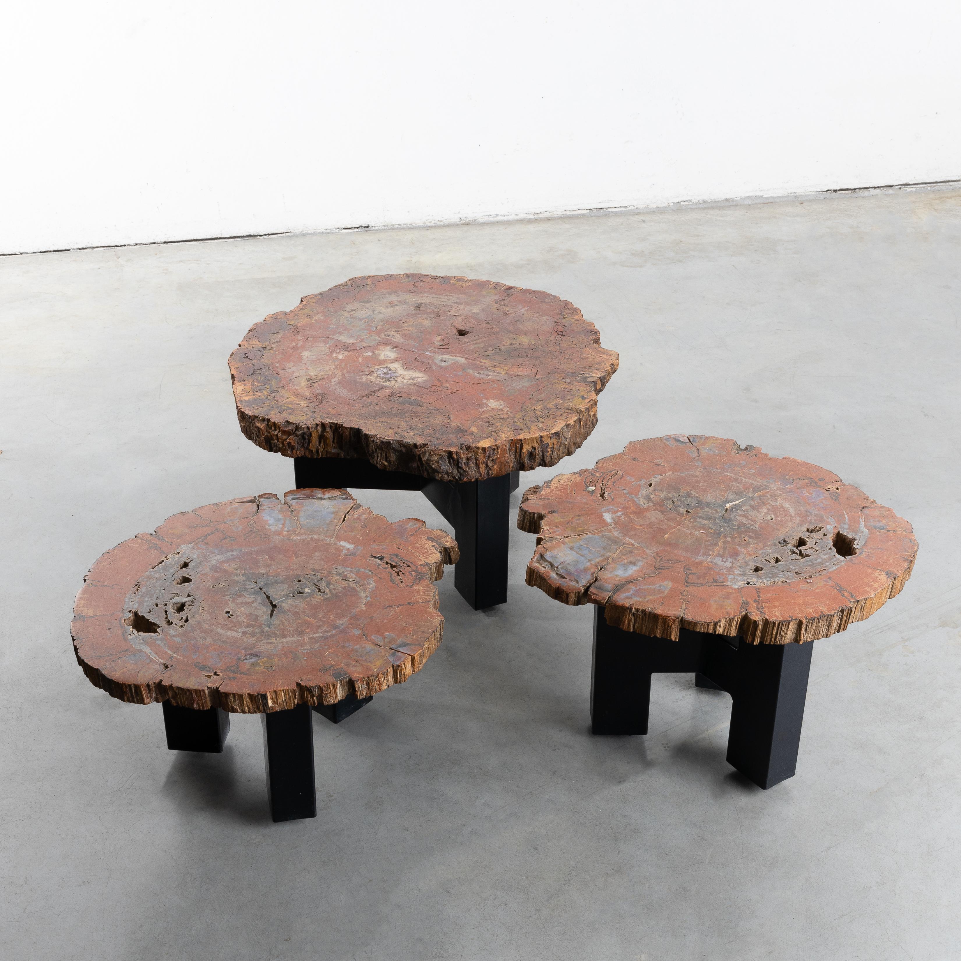 Set of three tables in fossilized wood. The wood chosen here by the artist is Sequoia from Arizona.
Each slice of Sequoia rests on a black painted steel tripod foot of slightly different height.
The feet are equipped with steel balls to facilitate