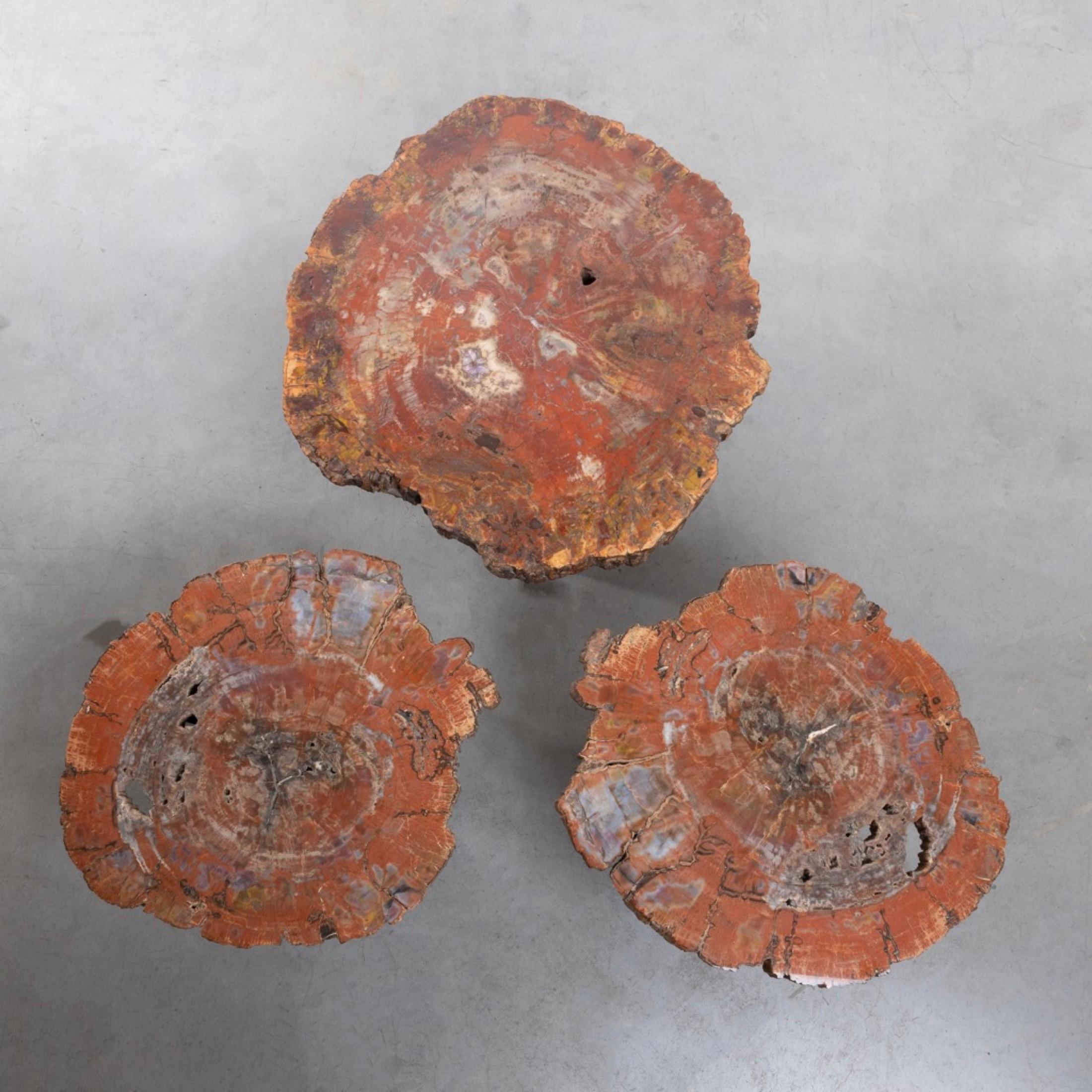 Mid-Century Modern Set of Three Fossilized Arizona Sequoia Coffee Tables by Ado Chale