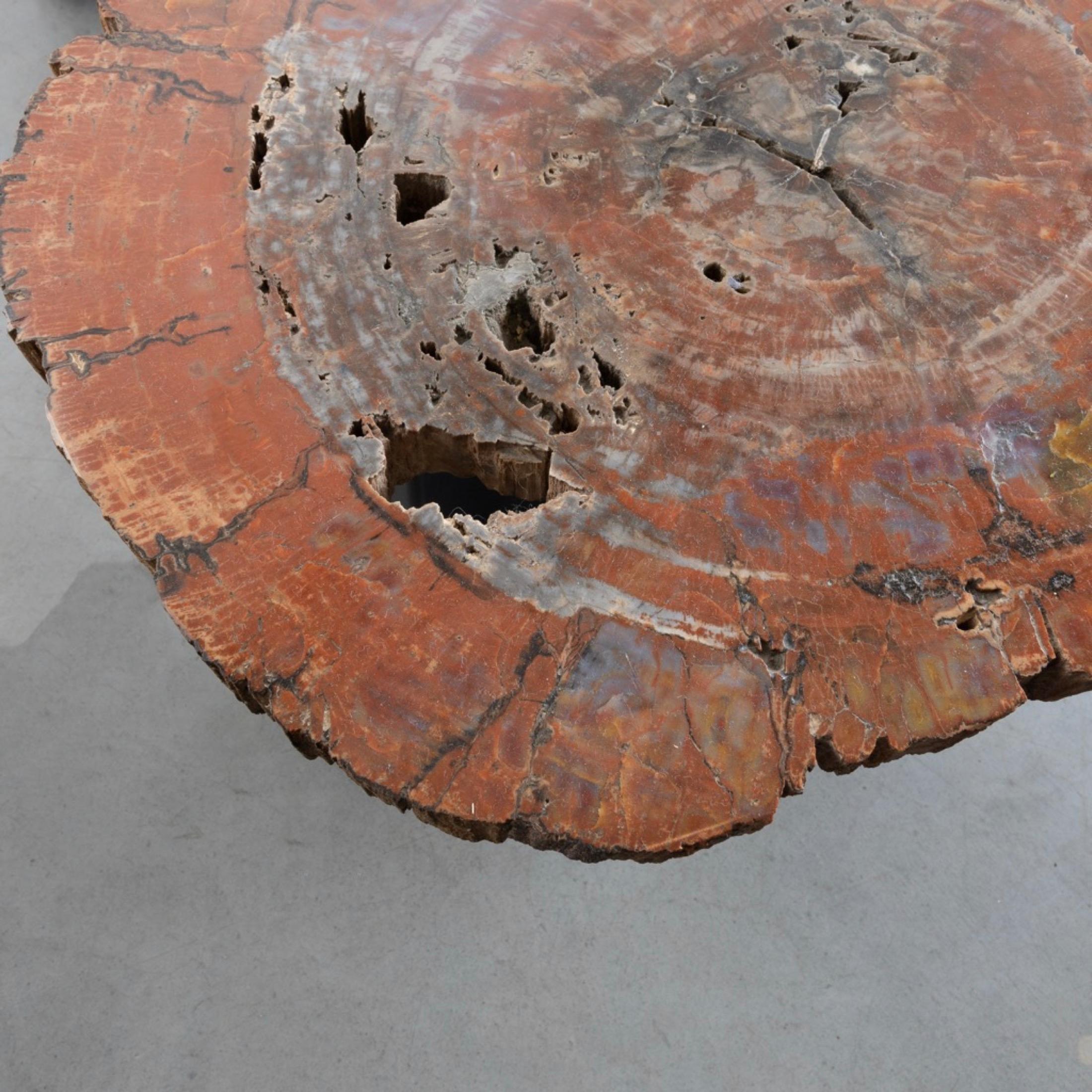 Belgian Set of Three Fossilized Arizona Sequoia Coffee Tables by Ado Chale