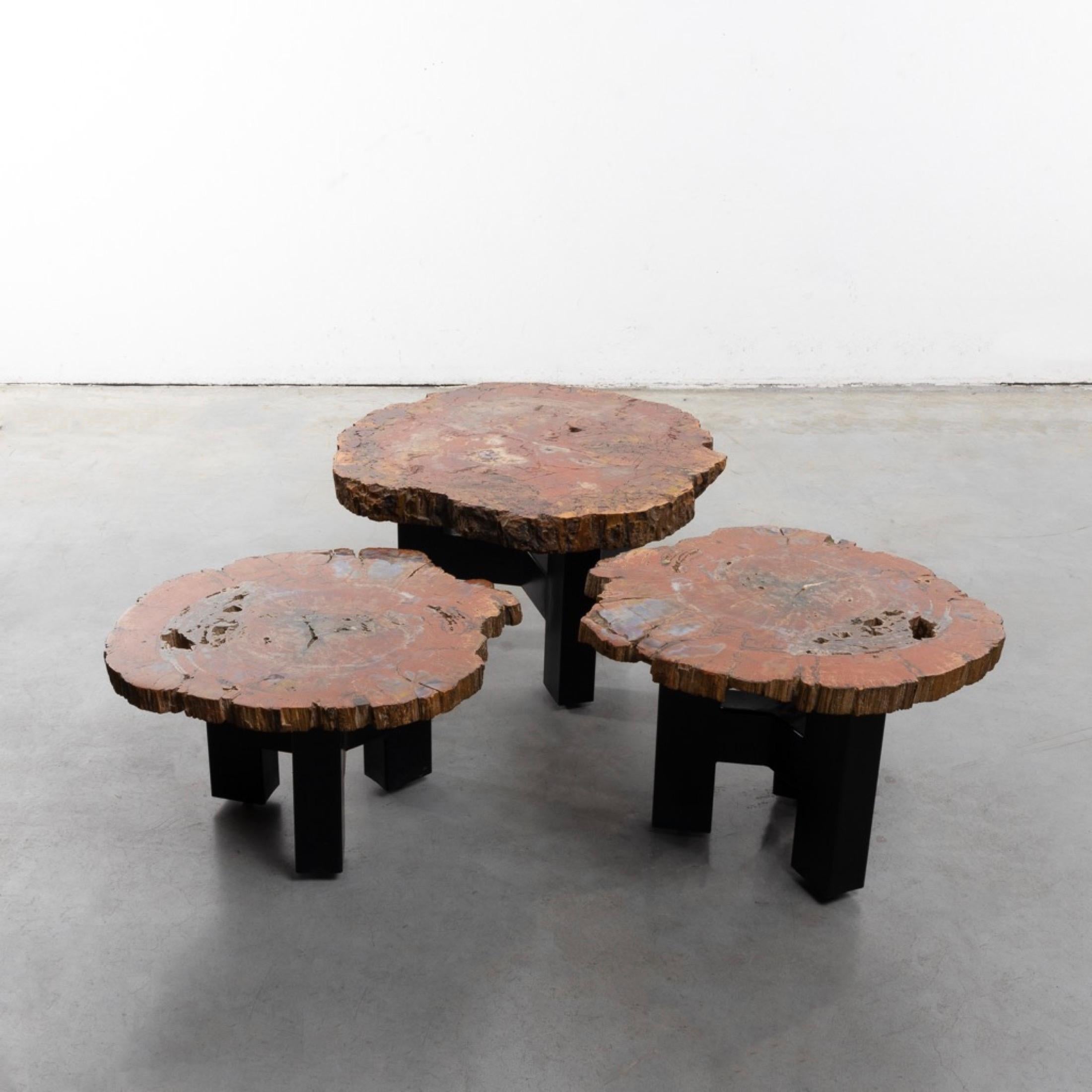 20th Century Set of Three Fossilized Arizona Sequoia Coffee Tables by Ado Chale