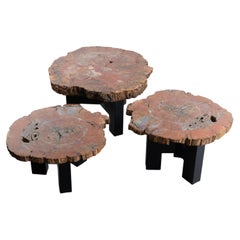 Vintage Set of Three Fossilized Arizona Sequoia Coffee Tables by Ado Chale