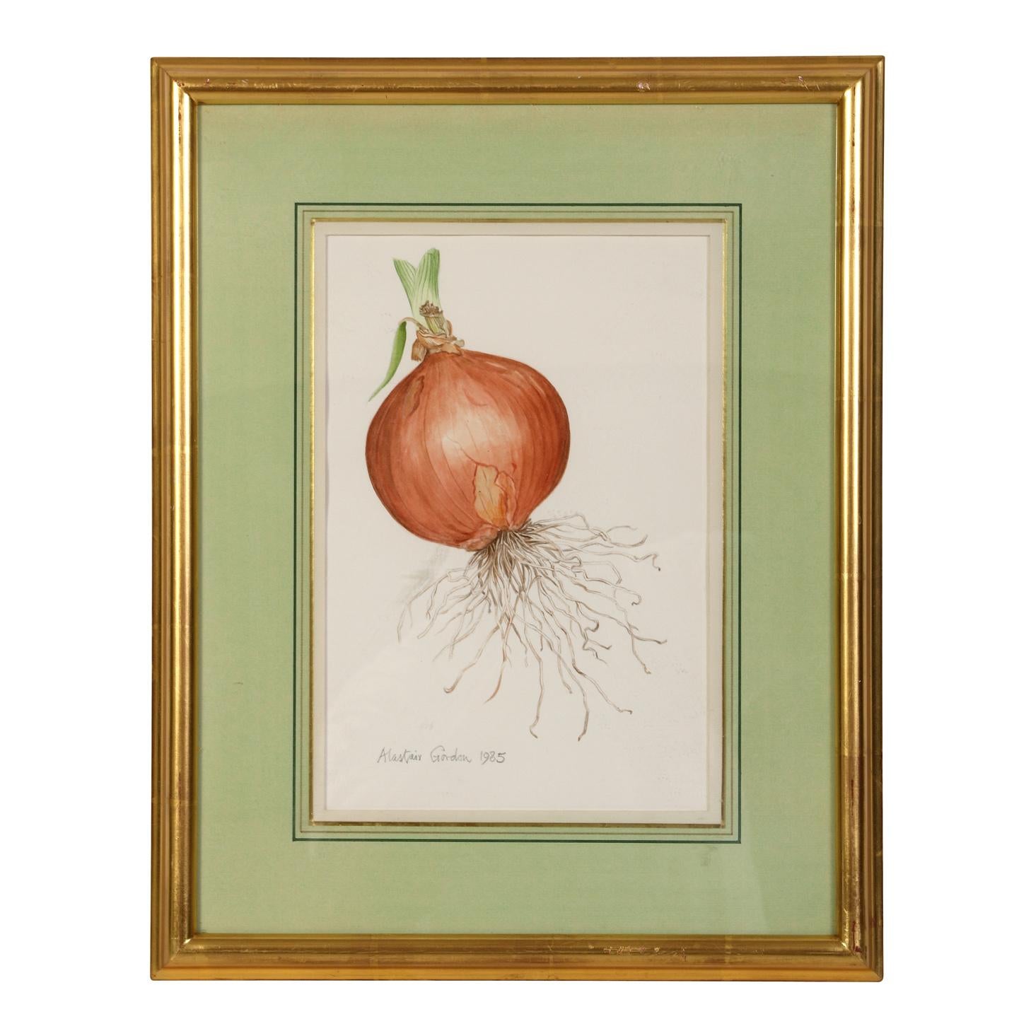 A set of three framed fruit and vegetable watercolors signed by Alastair Gordon. The set is a captivating collection that effortlessly combines artistry and nature and features an array of vibrant and meticulously detailed fruit or vegetable