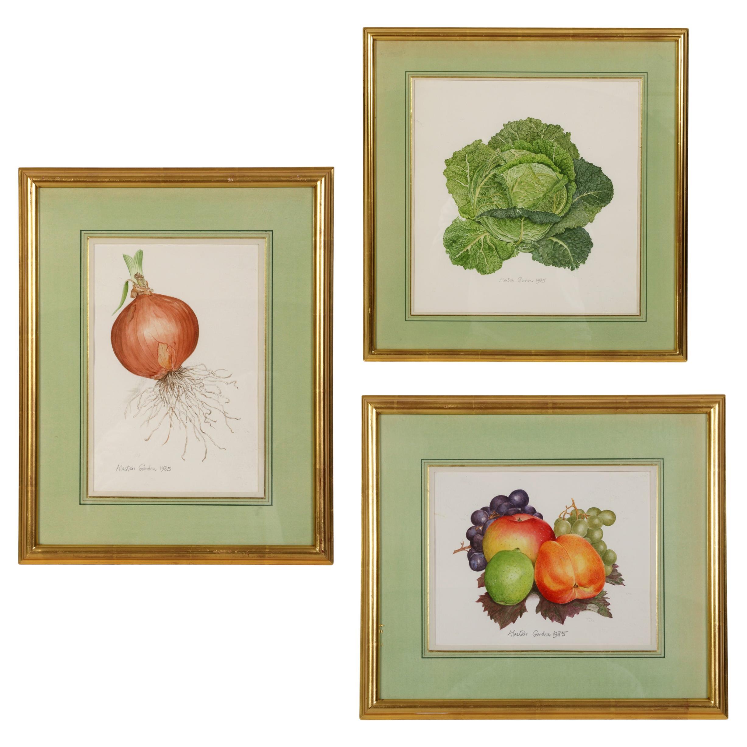 Set of Three Framed Fruit & Vegetable Watercolors by Alastair Gordon For Sale