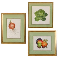Vintage Set of Three Framed Fruit & Vegetable Watercolors by Alastair Gordon