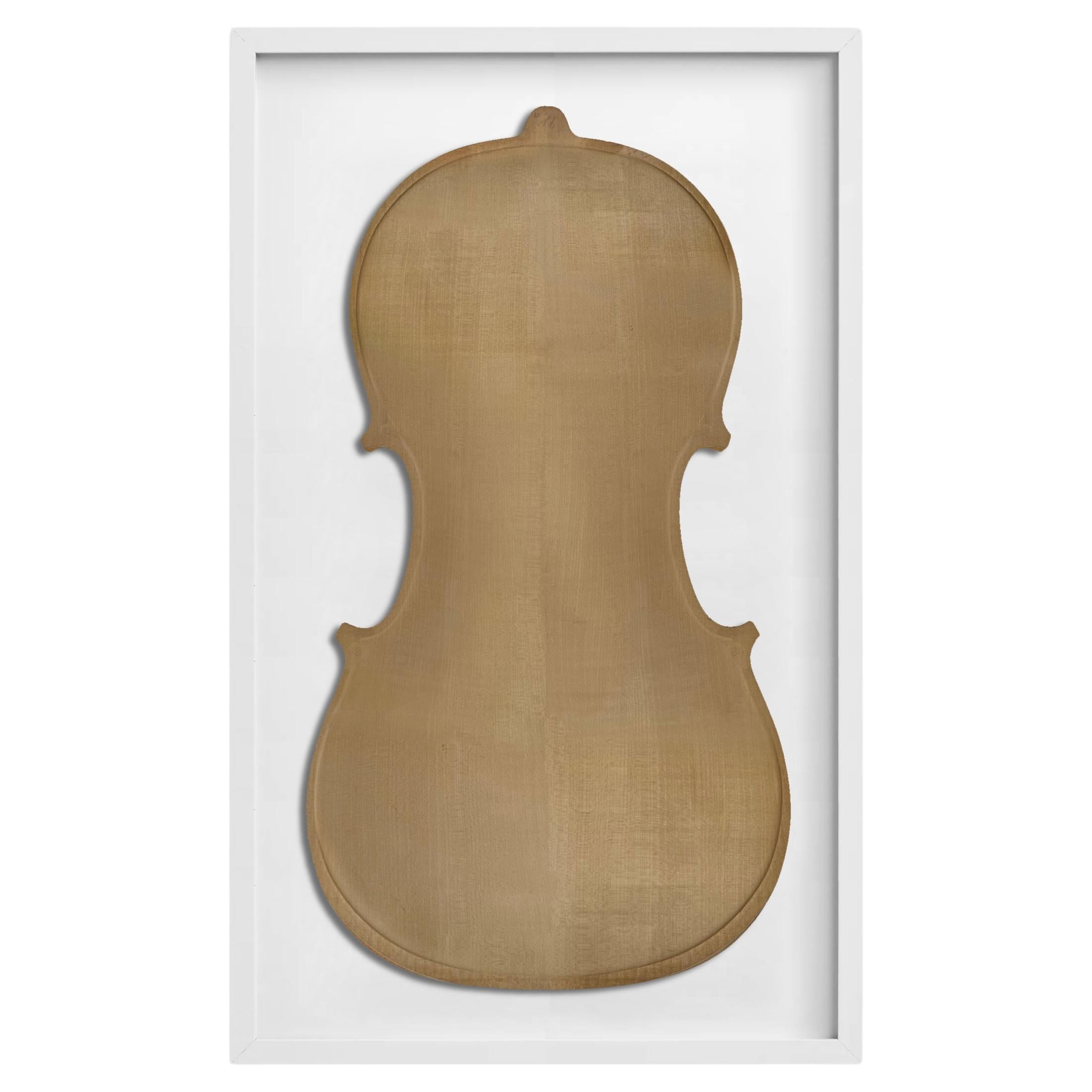 Set von drei gerahmten italienischen Cello-Rücken aus dem frühen 20. Jahrhundert (Italienisch) im Angebot