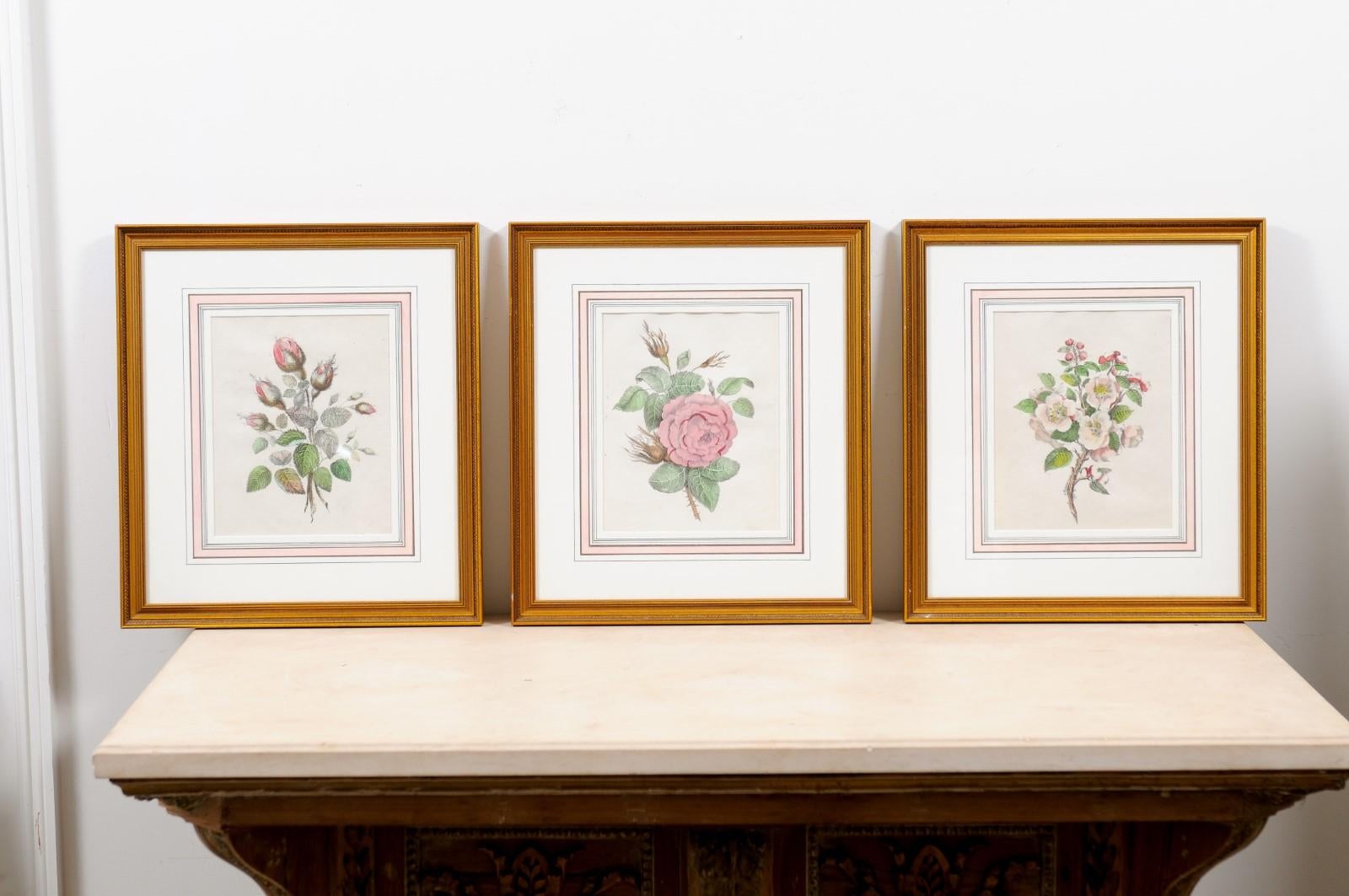 Set of Three French 19th Century Rose Prints in Carved Gilded Frames 7