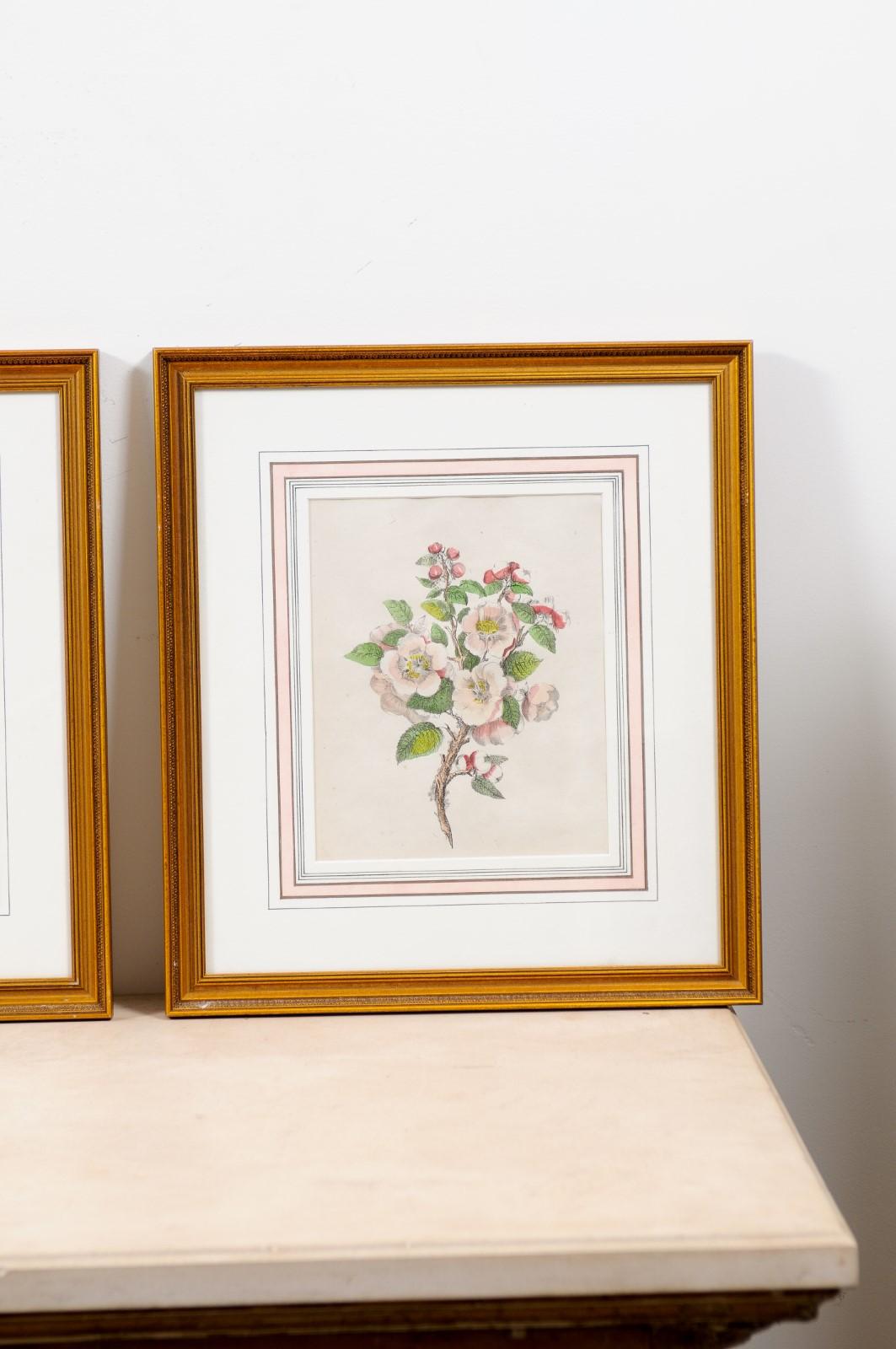 Set of Three French 19th Century Rose Prints in Carved Gilded Frames 10