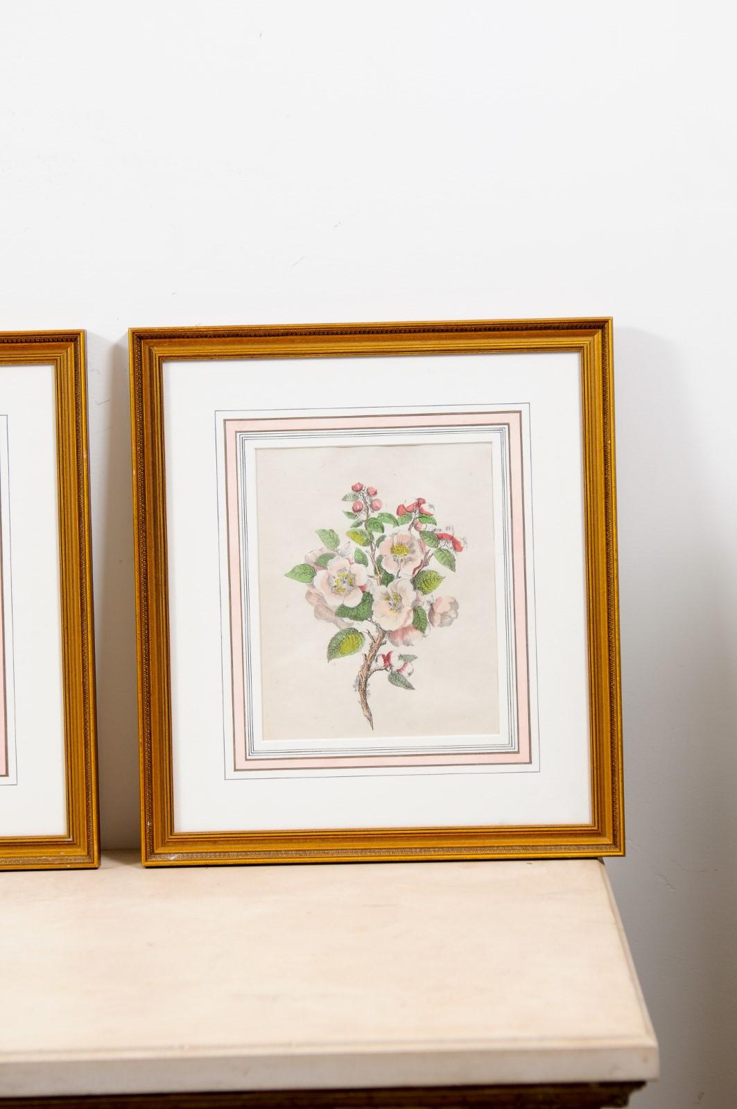 Set of Three French 19th Century Rose Prints in Carved Gilded Frames 11