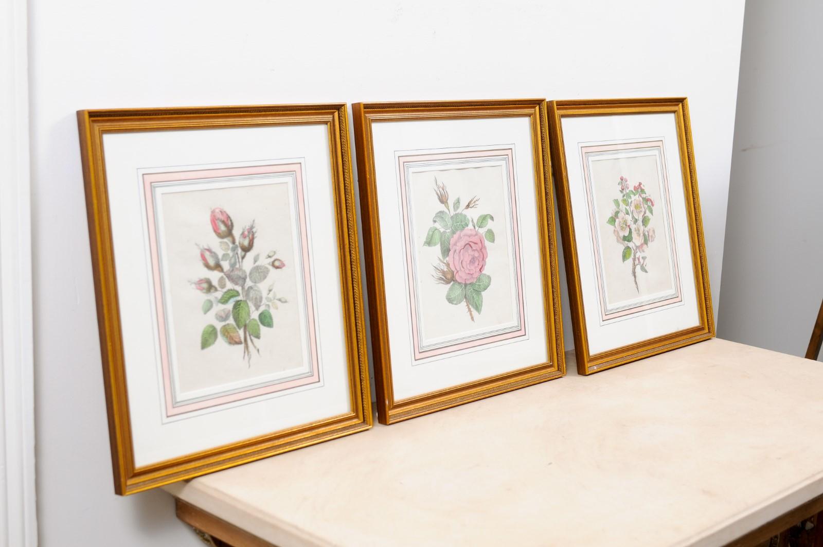 Set of Three French 19th Century Rose Prints in Carved Gilded Frames In Good Condition In Atlanta, GA