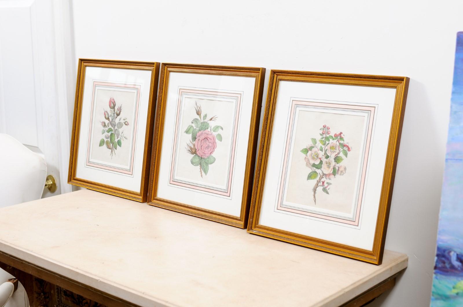 Paper Set of Three French 19th Century Rose Prints in Carved Gilded Frames