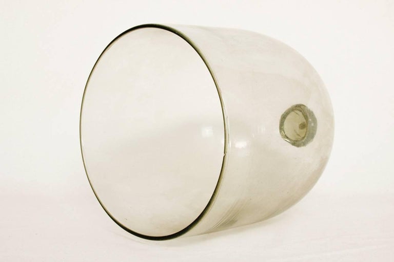 Set of Three French Glass Garden Cloches at 1stDibs