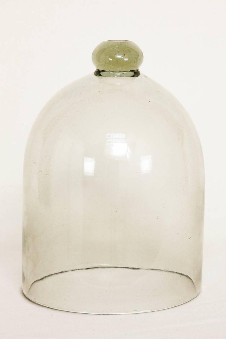 Set of Three French Glass Garden Cloches at 1stDibs