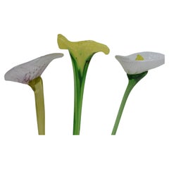 Satz von drei Glasblumen, Novy Bor Glassworks, 1950er Jahre.