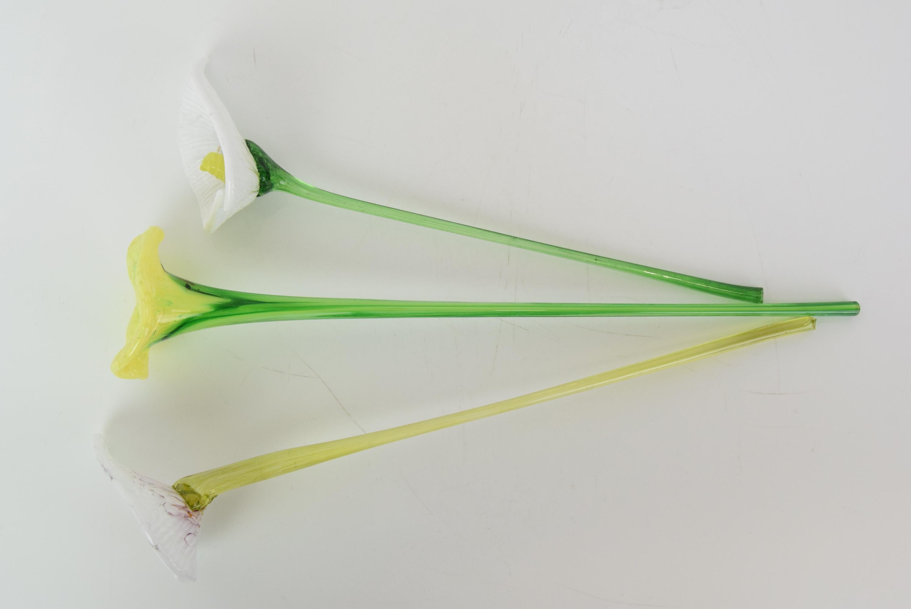 Ensemble de trois fleurs en verre, verrerie, né en novembre 1950.  Bon état - En vente à Praha, CZ