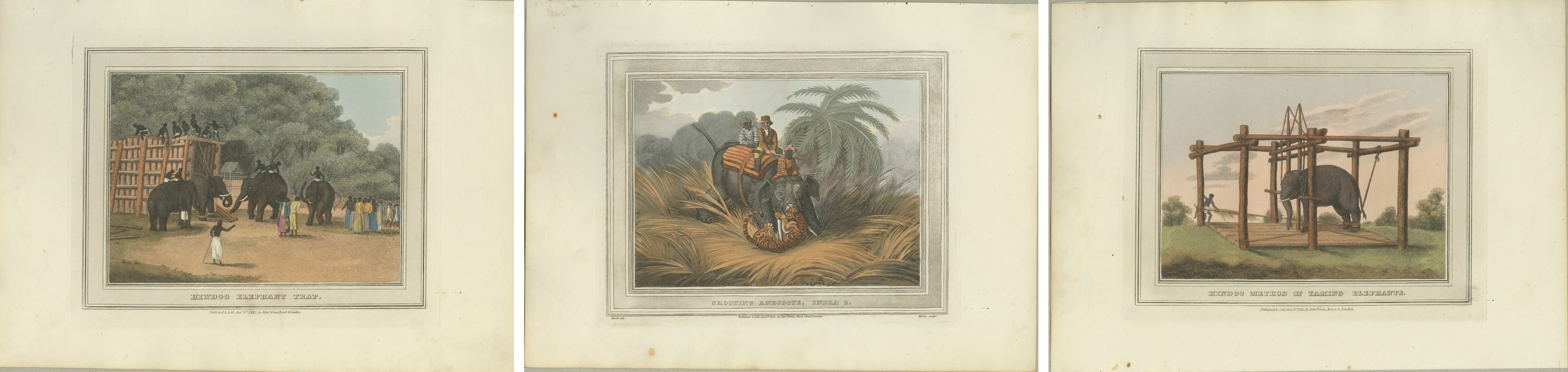 Set of Three Hand-Colored Elephant and Hunting Engravings, India, 1813

A rare and striking set of three fine hand-colored engravings by Samuel Howitt (1756/57–1822), one of the most accomplished English animal and sporting artists of the late 18th