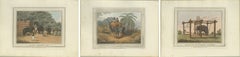 Set of Three Hand-Colored Elephant and Hunting Engravings, India, 1813