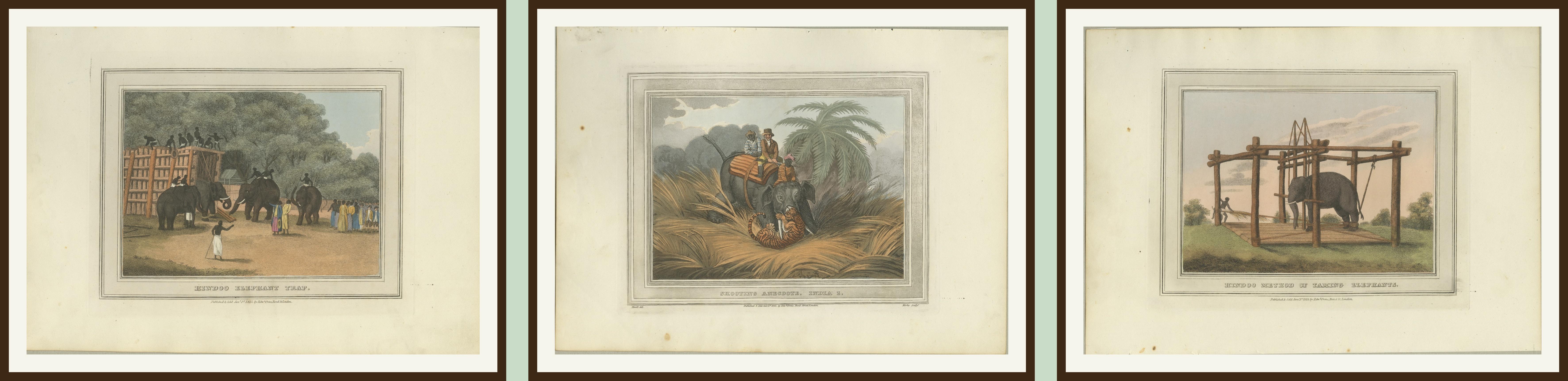 Engraved Set of Three Hand-Colored Elephant and Hunting Engravings, India, 1813 For Sale
