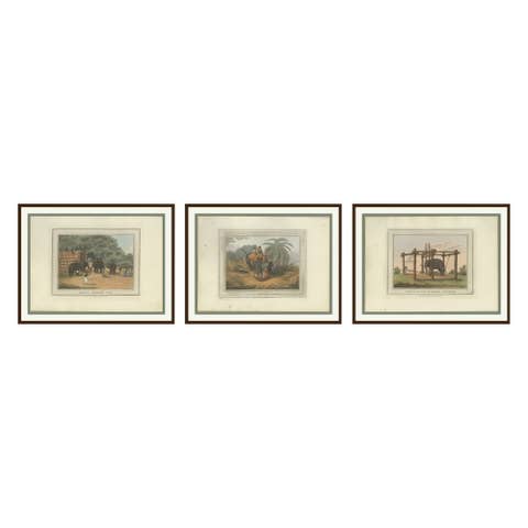Set of Three Hand-Colored Elephant and Hunting Engravings, India, 1813