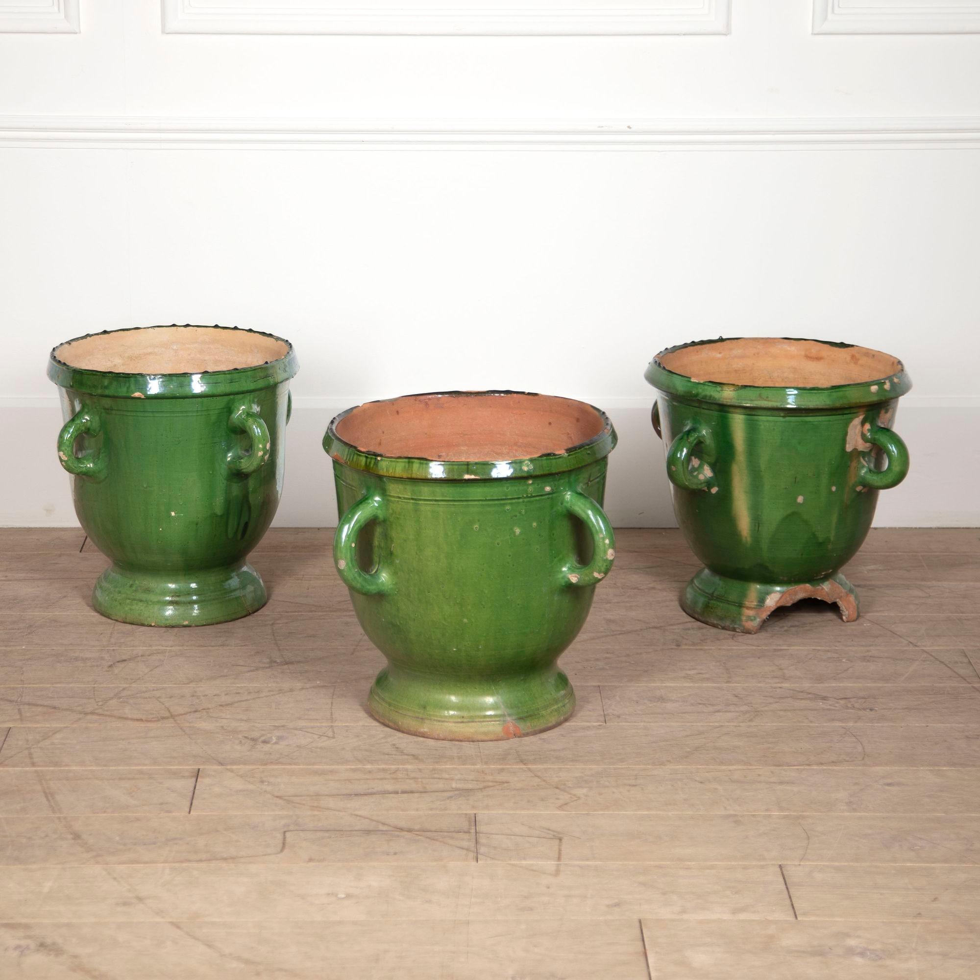 Collectional de trois grandes jardinières à quatre anses en verre vert de Castelnaudary, France, 19e siècle.
Ces pots proviennent d'un jardin privé d'Apt et devaient à l'origine orner chaque côté de l'entrée d'une belle maison.
Tous trois datent du
