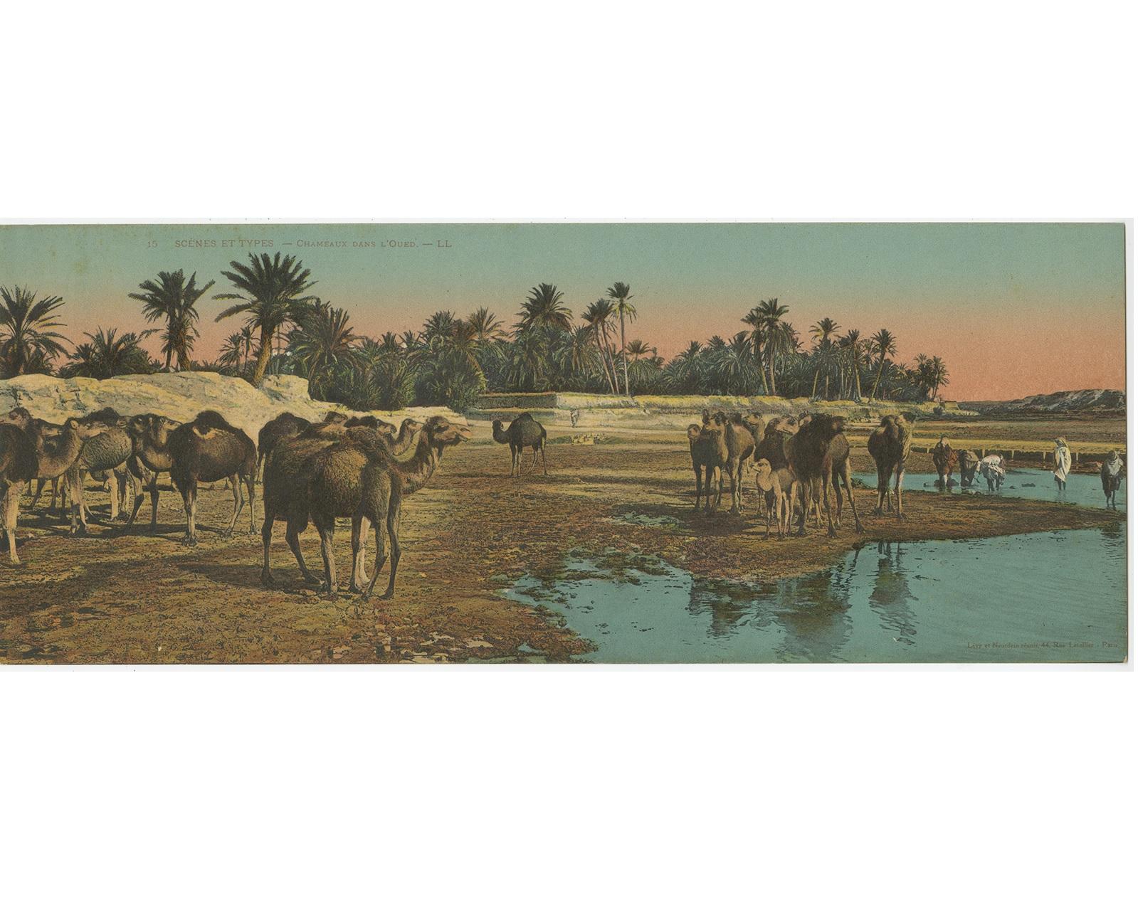 Set of three large panoramic postcards. It shows views of the deserts with people and camels. Published by Lèvy, Paris.