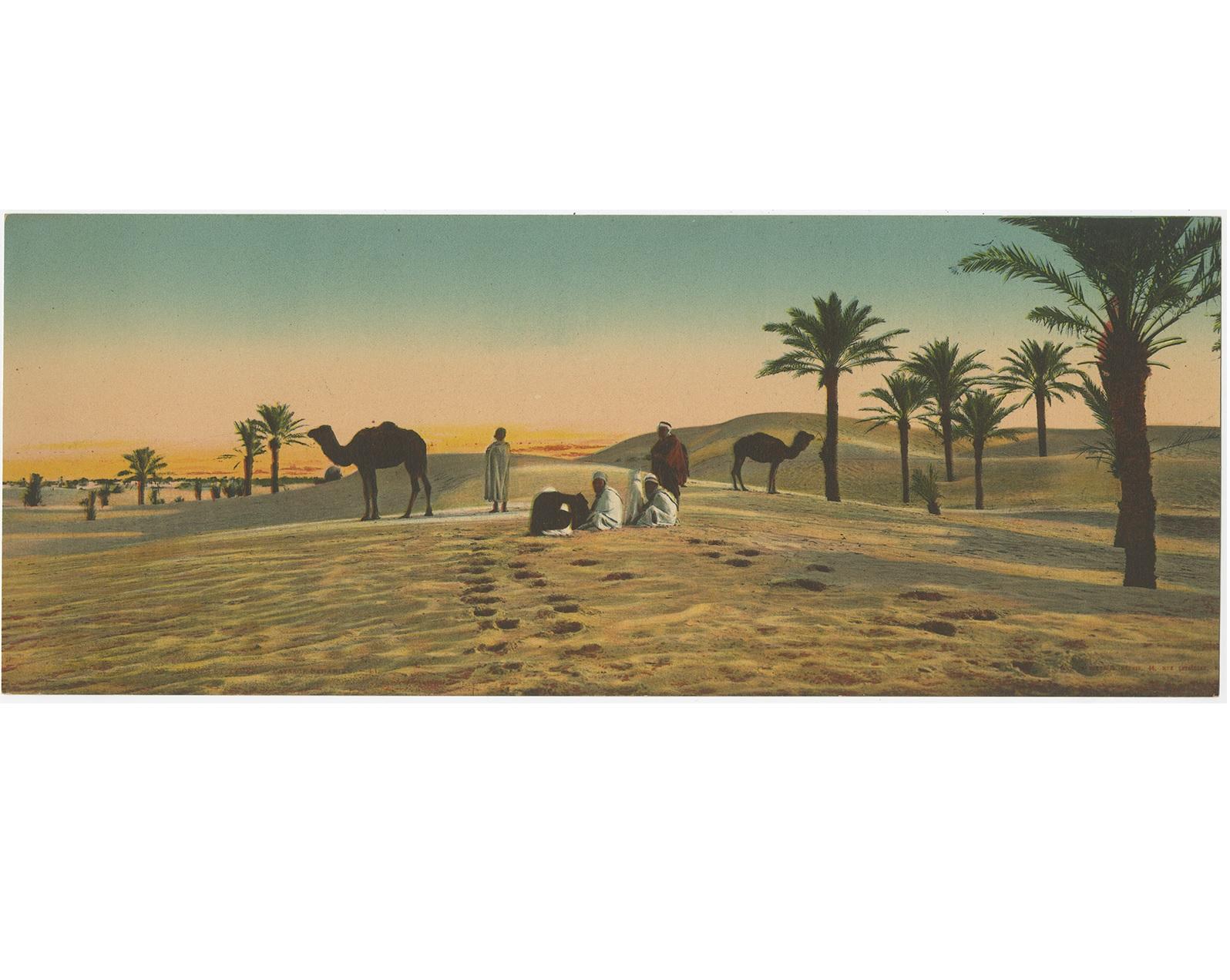 Set von drei großen Panoramen-Postkarten im Vintage-Stil der Wüste, um 1920 im Zustand „Gut“ im Angebot in Langweer, NL