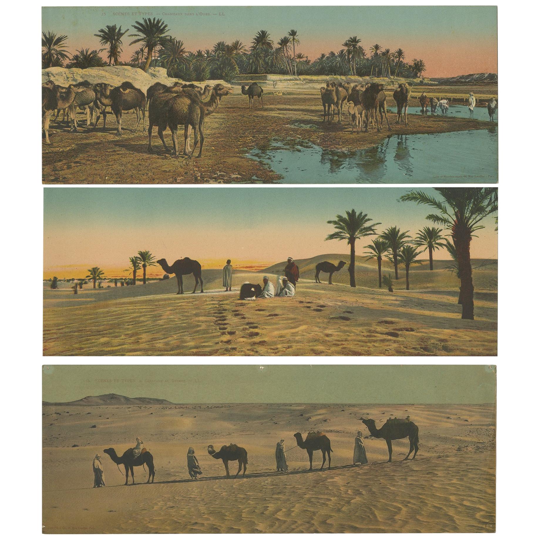 Set von drei großen Panoramen-Postkarten im Vintage-Stil der Wüste, um 1920