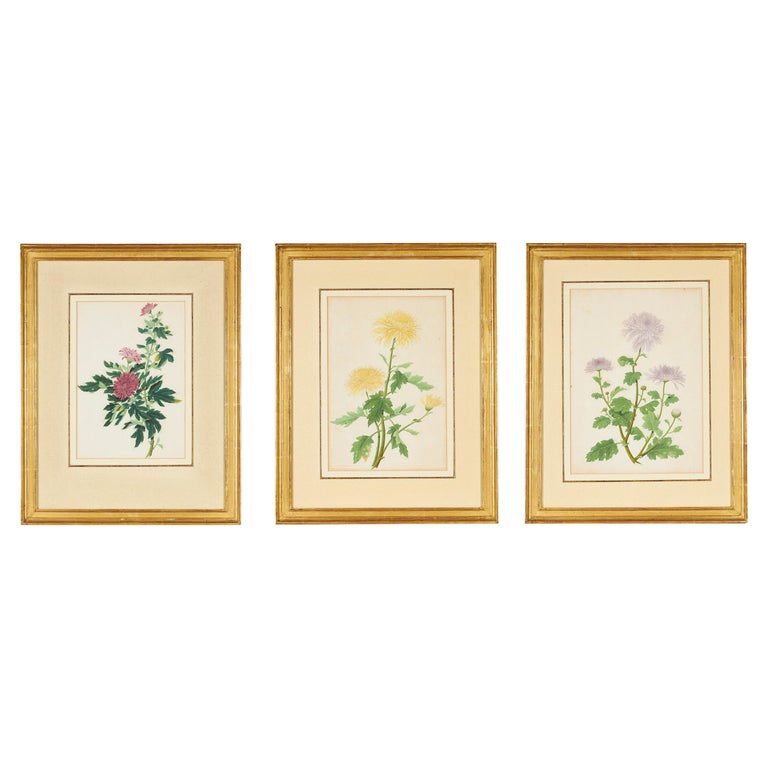 Set of Three Late 18th Century Chinese Botanical Watercolours For Sale