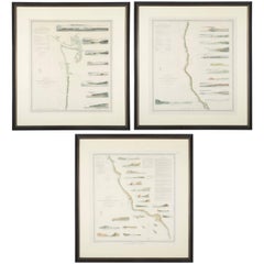 Set of Three Mid 19th Century Charts of the California Coast