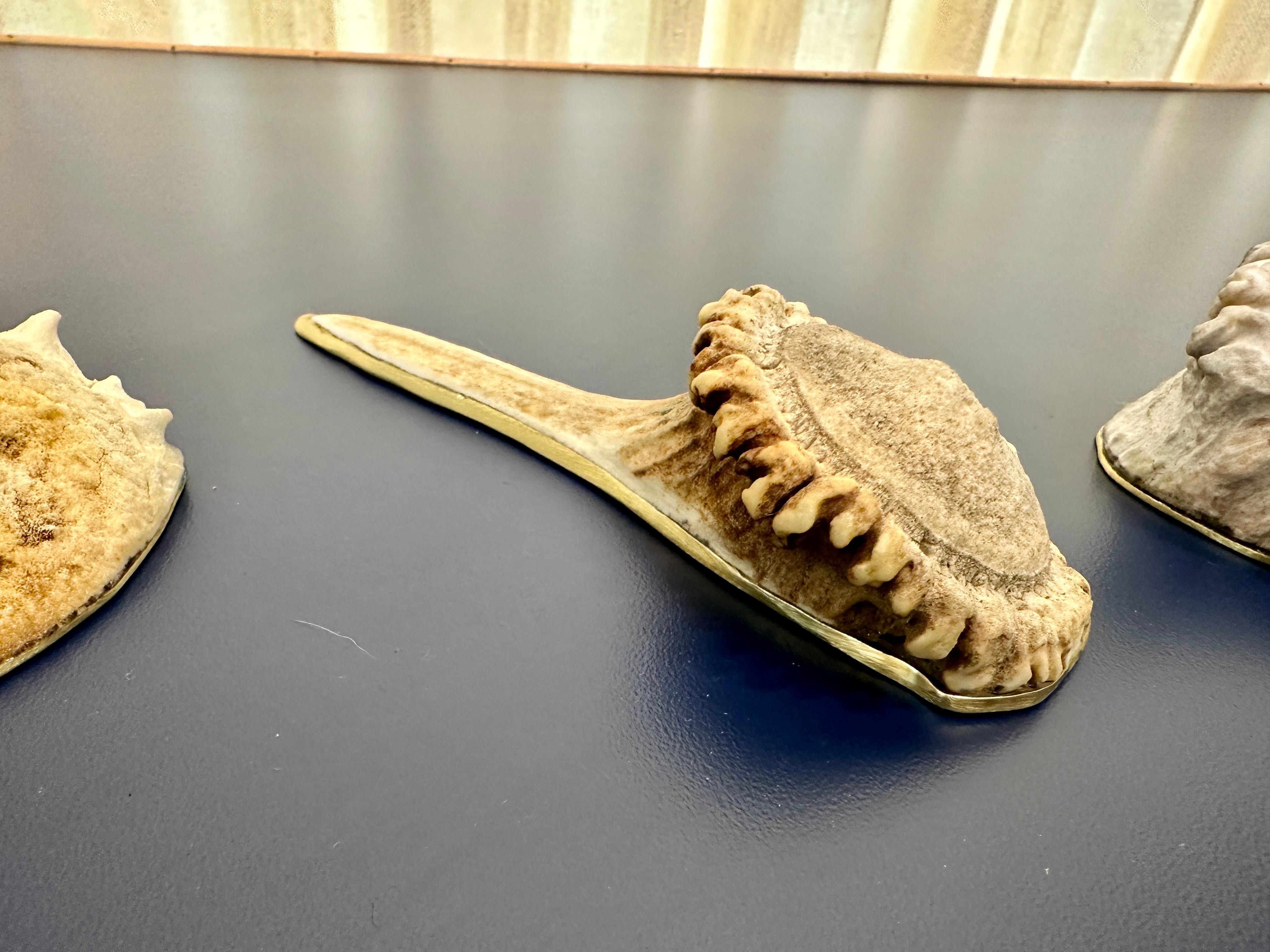 This set of three (3) natural antler tips desk accessories are backed with brass base.  Perfect for an executive desk, two paperweights and a letter opener.  Rich natural coloring and texture - beautiful table top elements.  NOTE: dimensions of