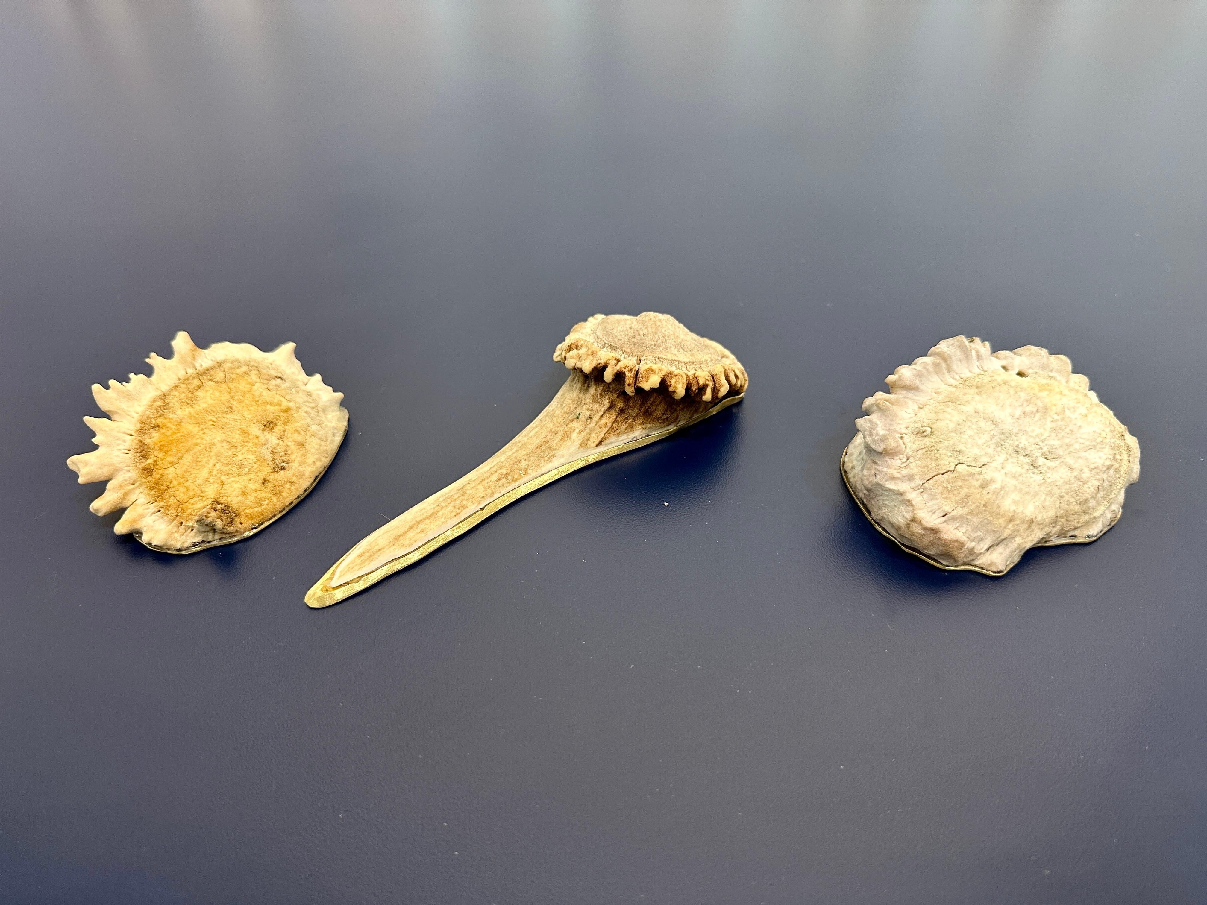 Set of Three Natural Antler Tips & Brass Desk Accessories For Sale 1