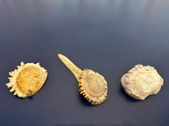 Set of Three Natural Antler Tips & Brass Desk Accessories