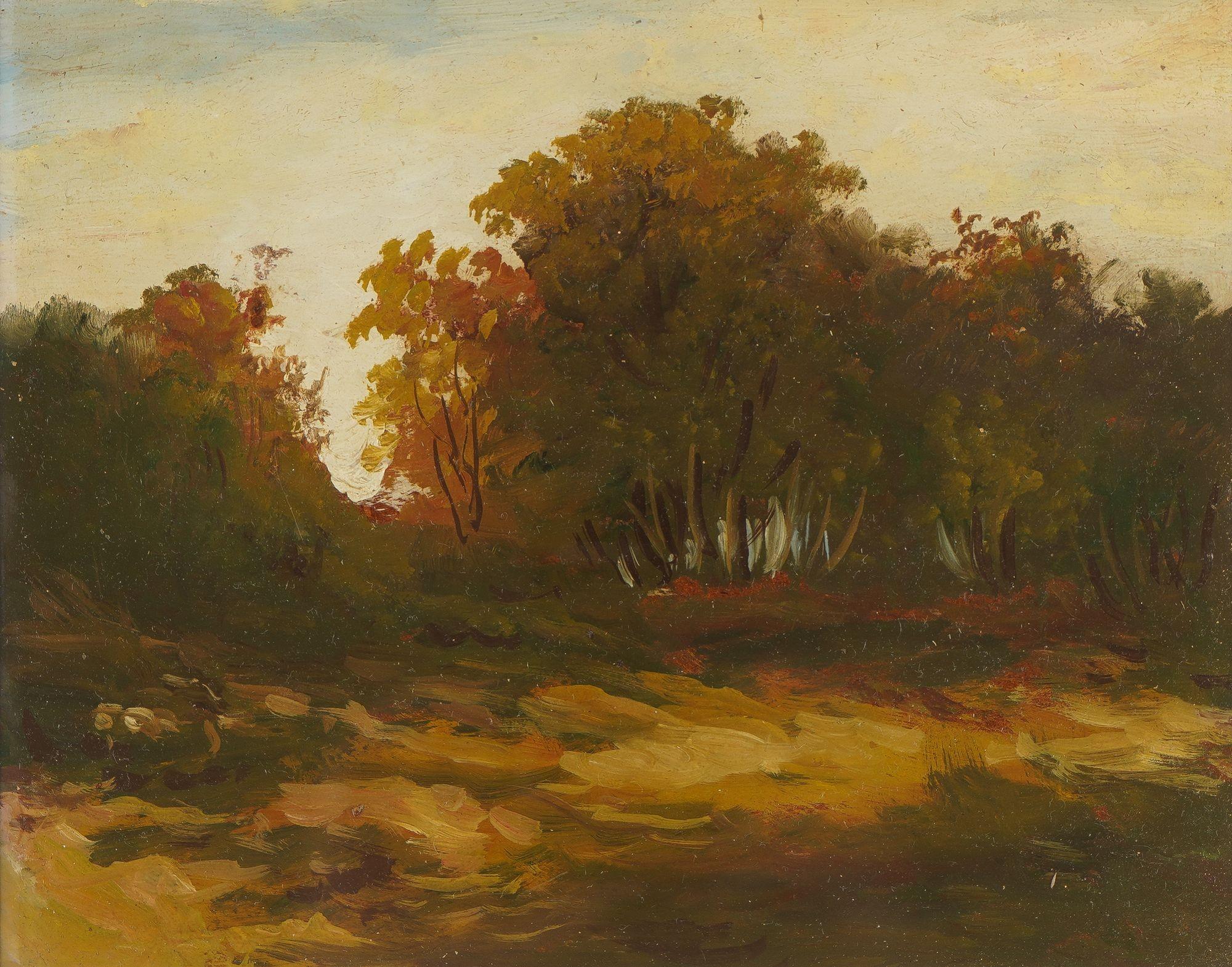 Set von drei Landschaften in Öl auf Karton, 1900-25 (amerikanisch) im Angebot