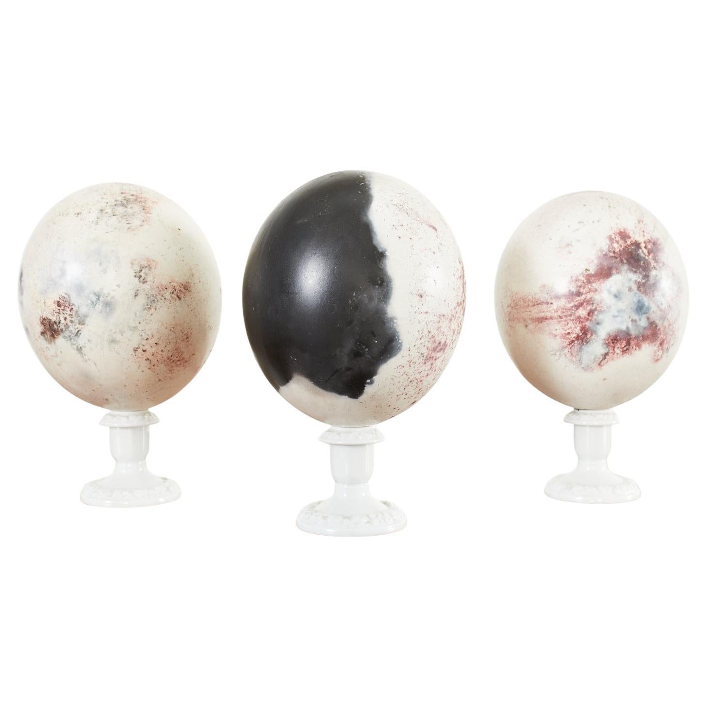 Set of Three Painted Dyed Ostrich Egg Specimens For Sale