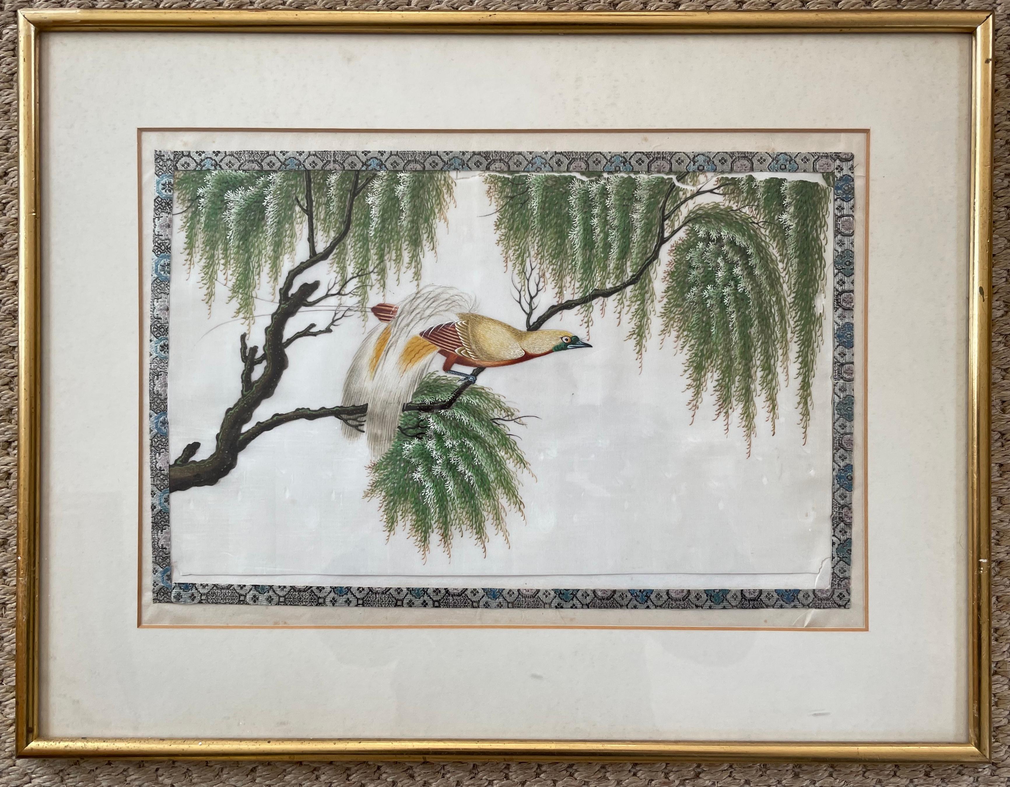 Chinese Set of Three Painted Silk Bird Paintings