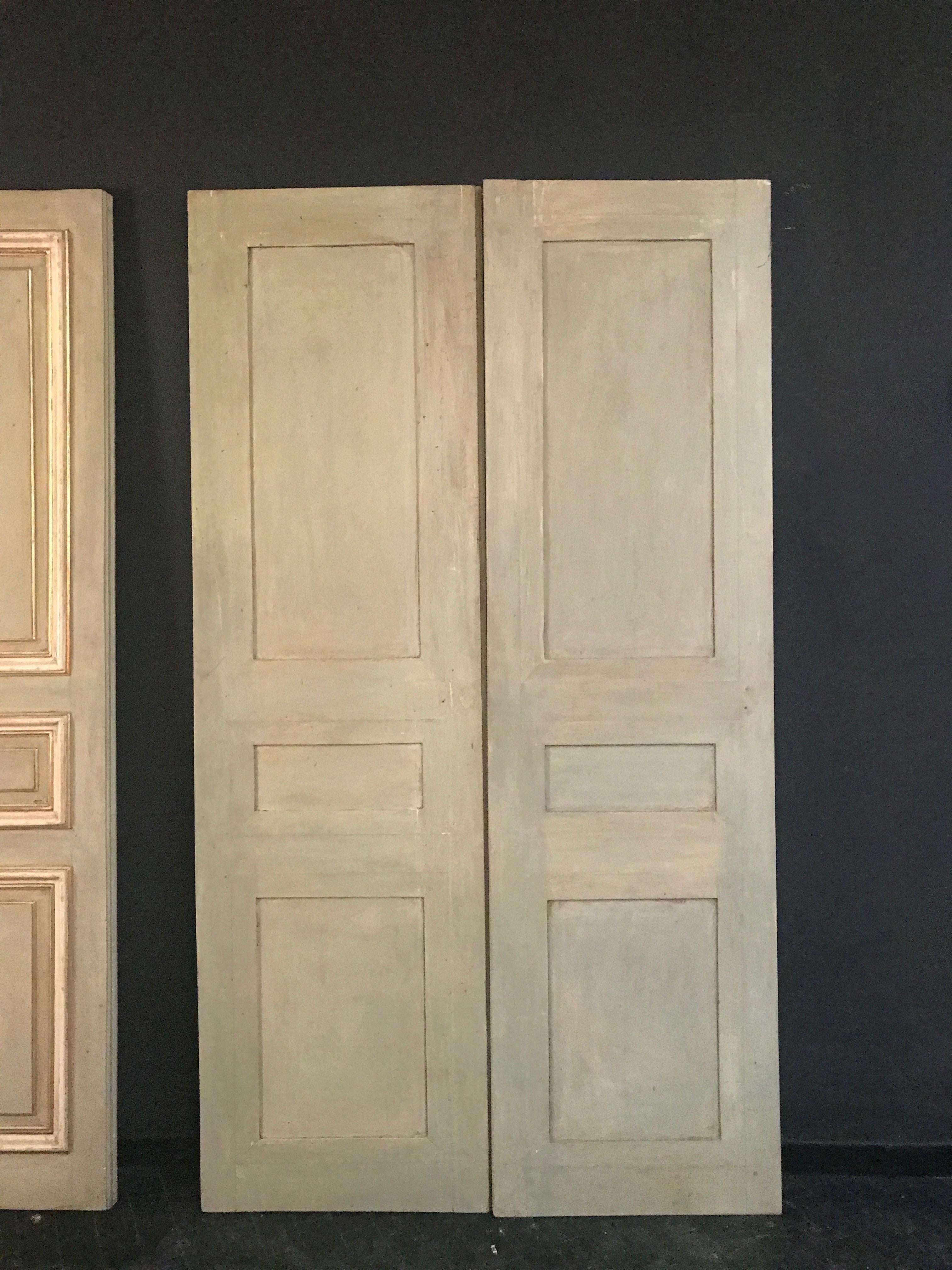 Set of Three Pairs of 19th Century Italian Painted Doors  12