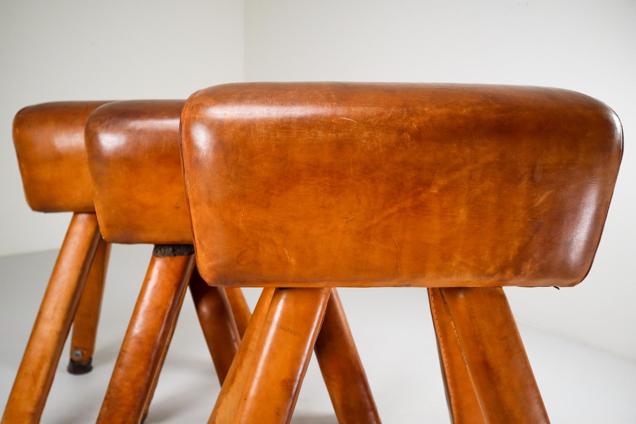 Set of Three Patinated Cognac Leather Covered Beechwood Gym Horses, 1950s 5