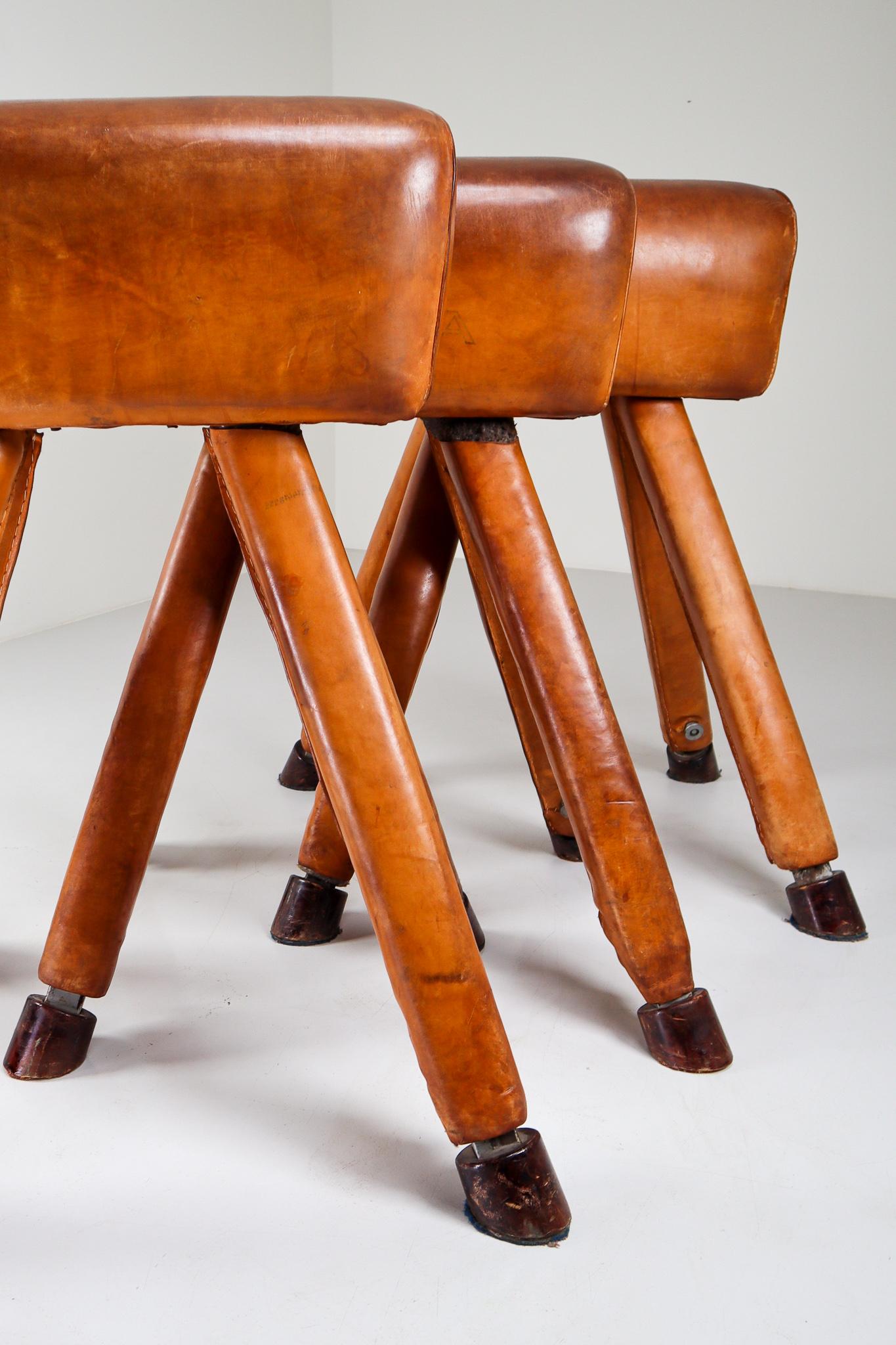 Set of Three Patinated Cognac Leather Covered Beechwood Gym Horses, 1950s 6