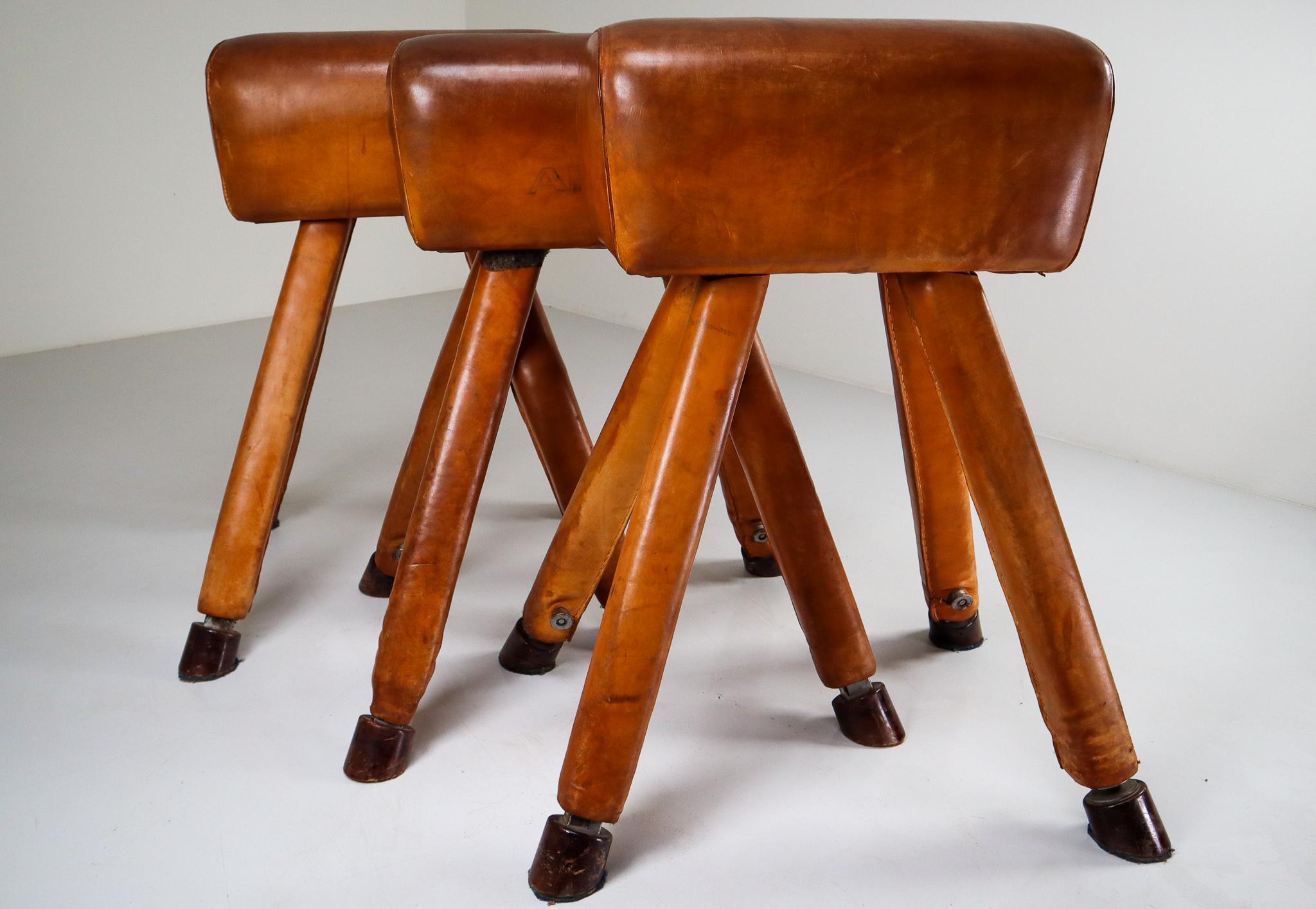Set of three patinated cognac leather covered beechwood gym horses, circa 1950. Salvaged from an old gym, this handsome piece of equipment is weighted for stability and has horse shaped hoof feet. Lots of patina, imperfections and overall charm and
