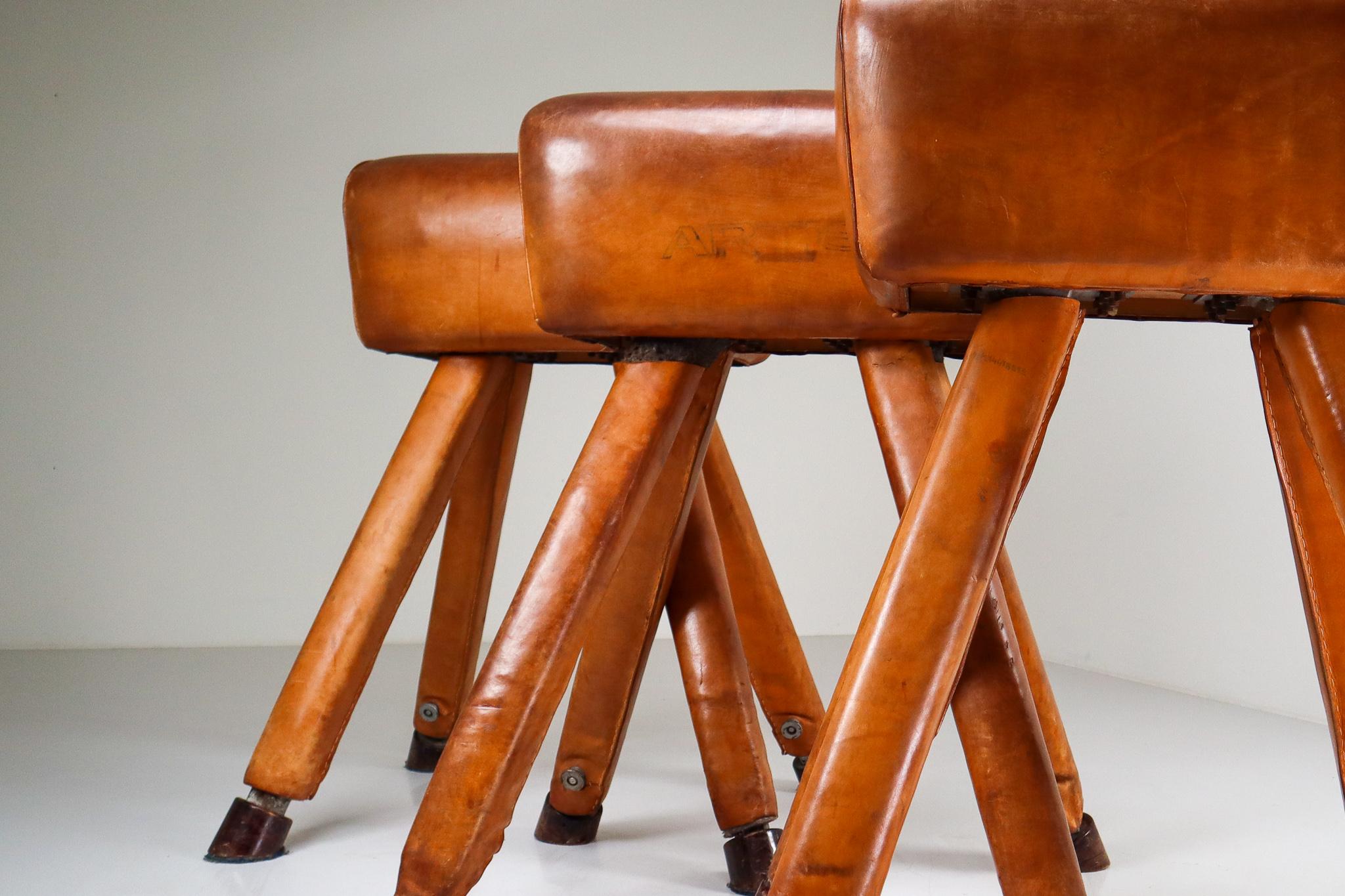 Mid-Century Modern Set of Three Patinated Cognac Leather Covered Beechwood Gym Horses, 1950s